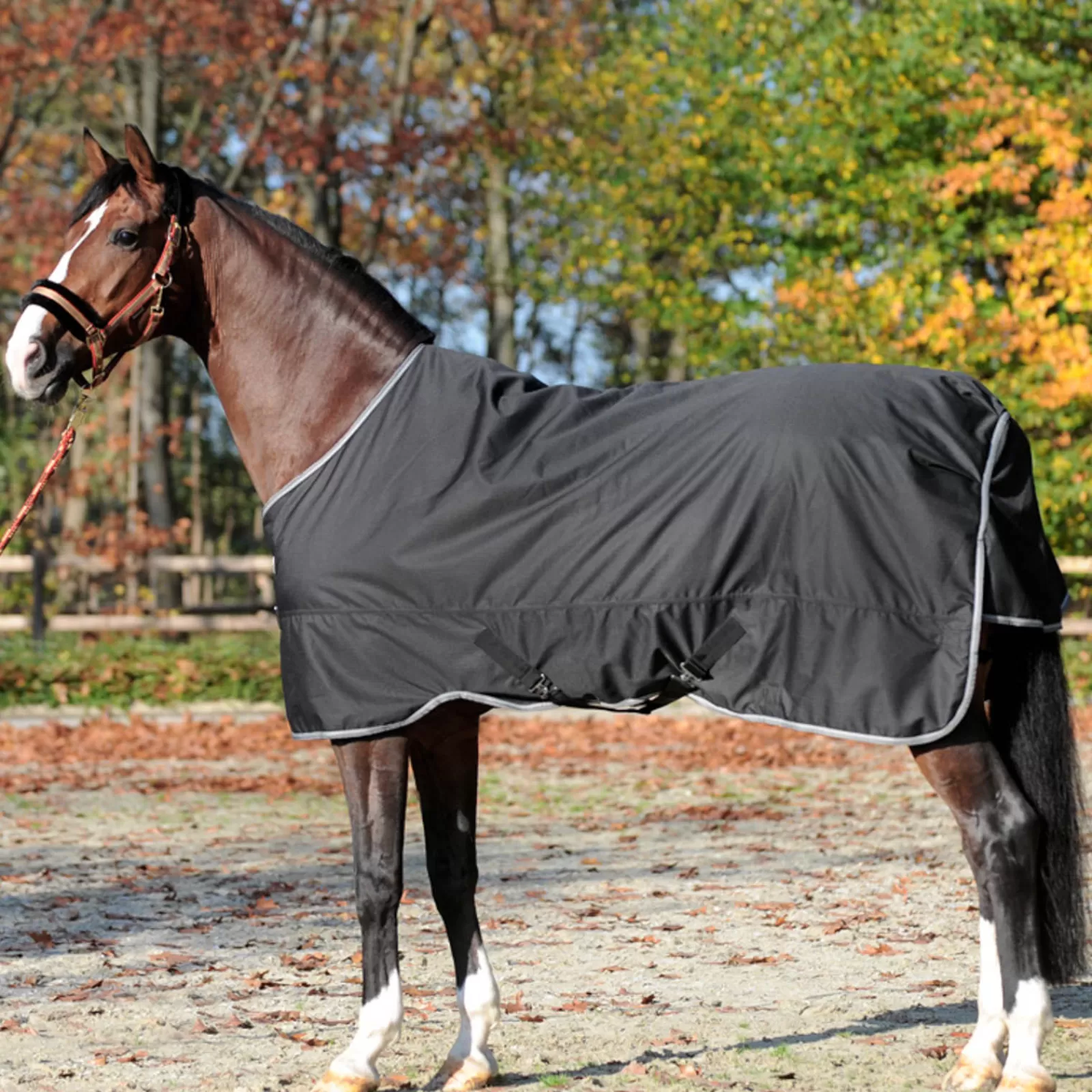 kavalkade Winnipeg Turnout Rug, 50G> Lightweight Turnout Rugs