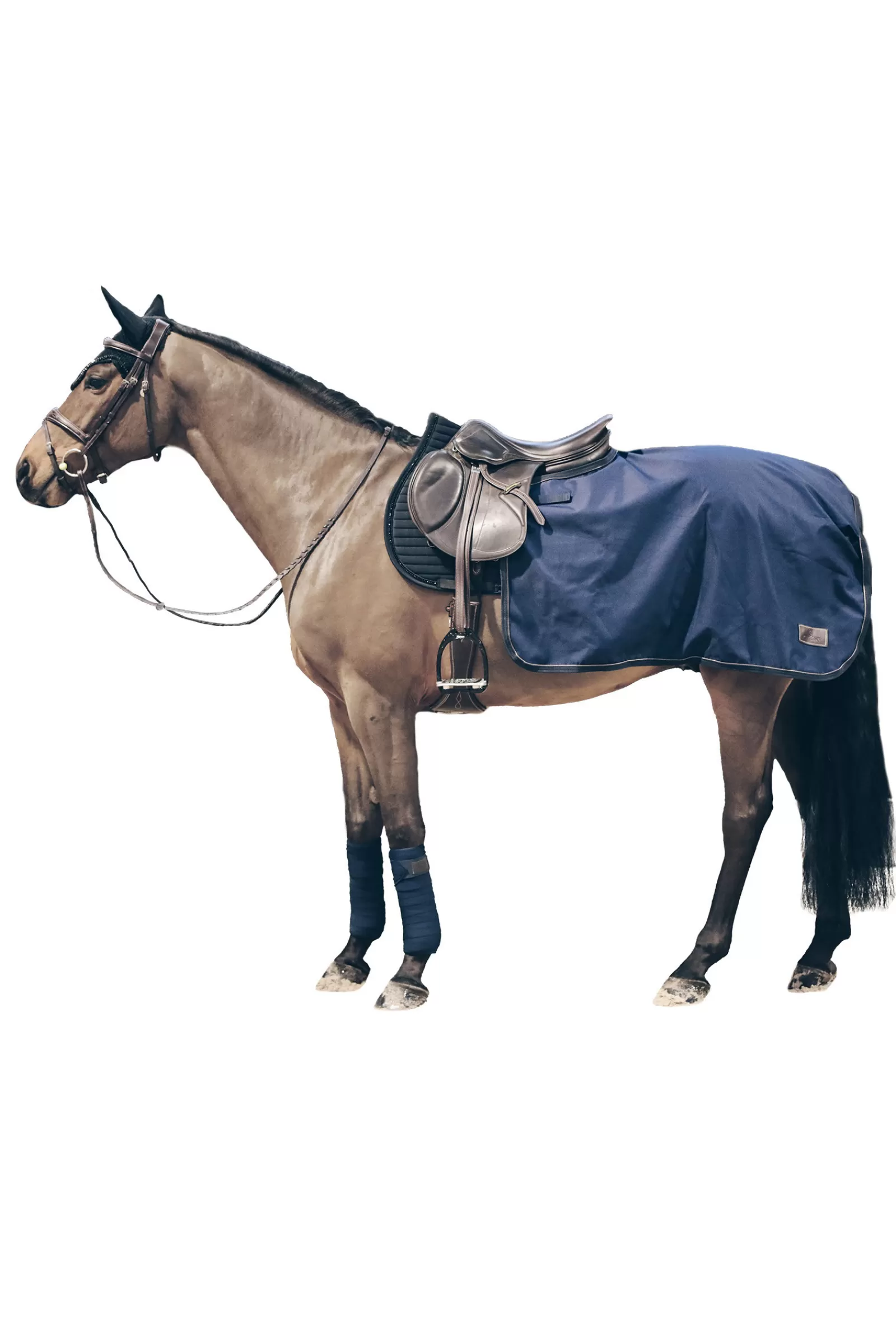 kentucky Horsewear All Weather Exercise Sheet, 160G> Exercise Sheets & Quarter Sheets