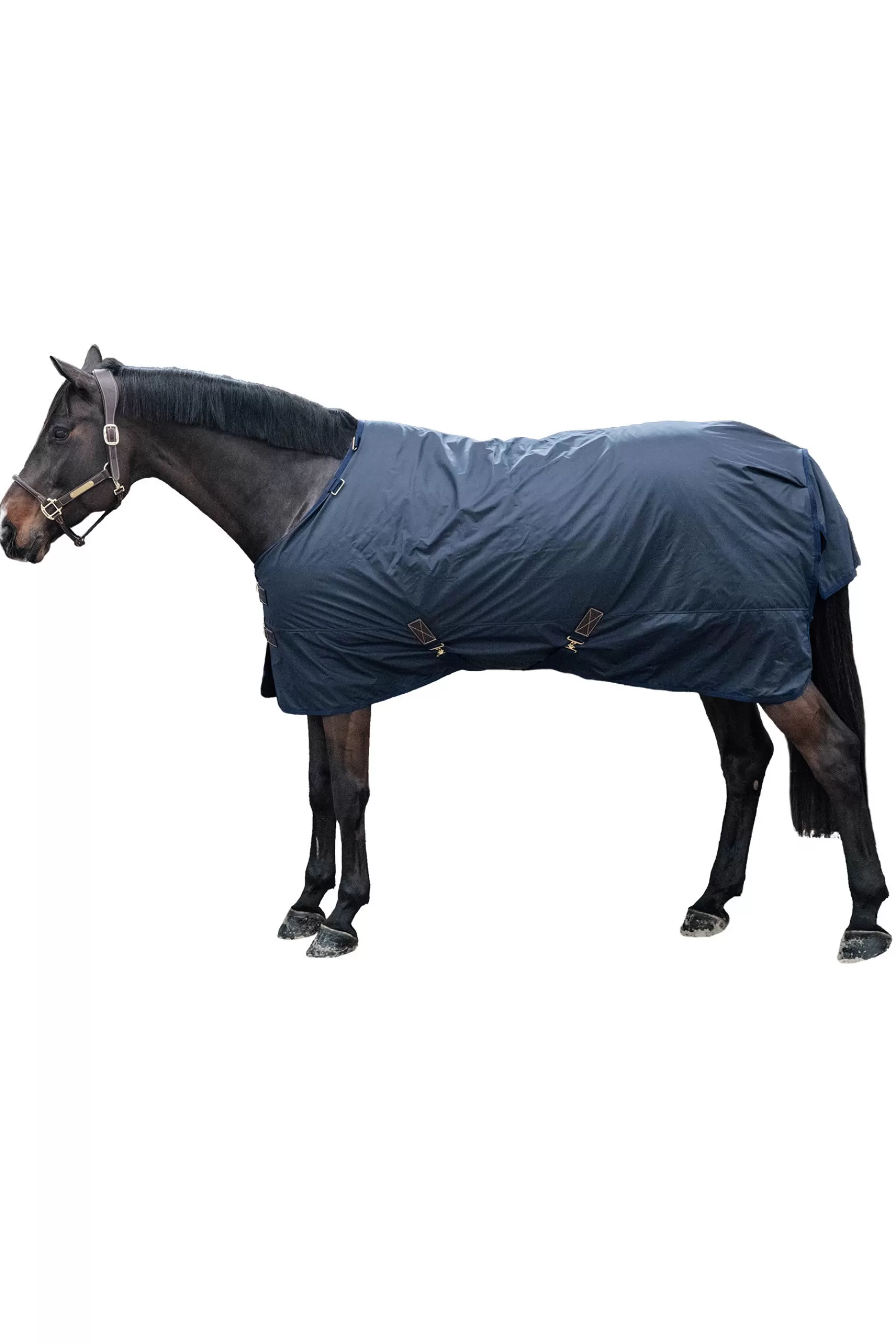 kentucky Horsewear All Weather Hurricane Turnout, 0G> Lightweight Turnout Rugs