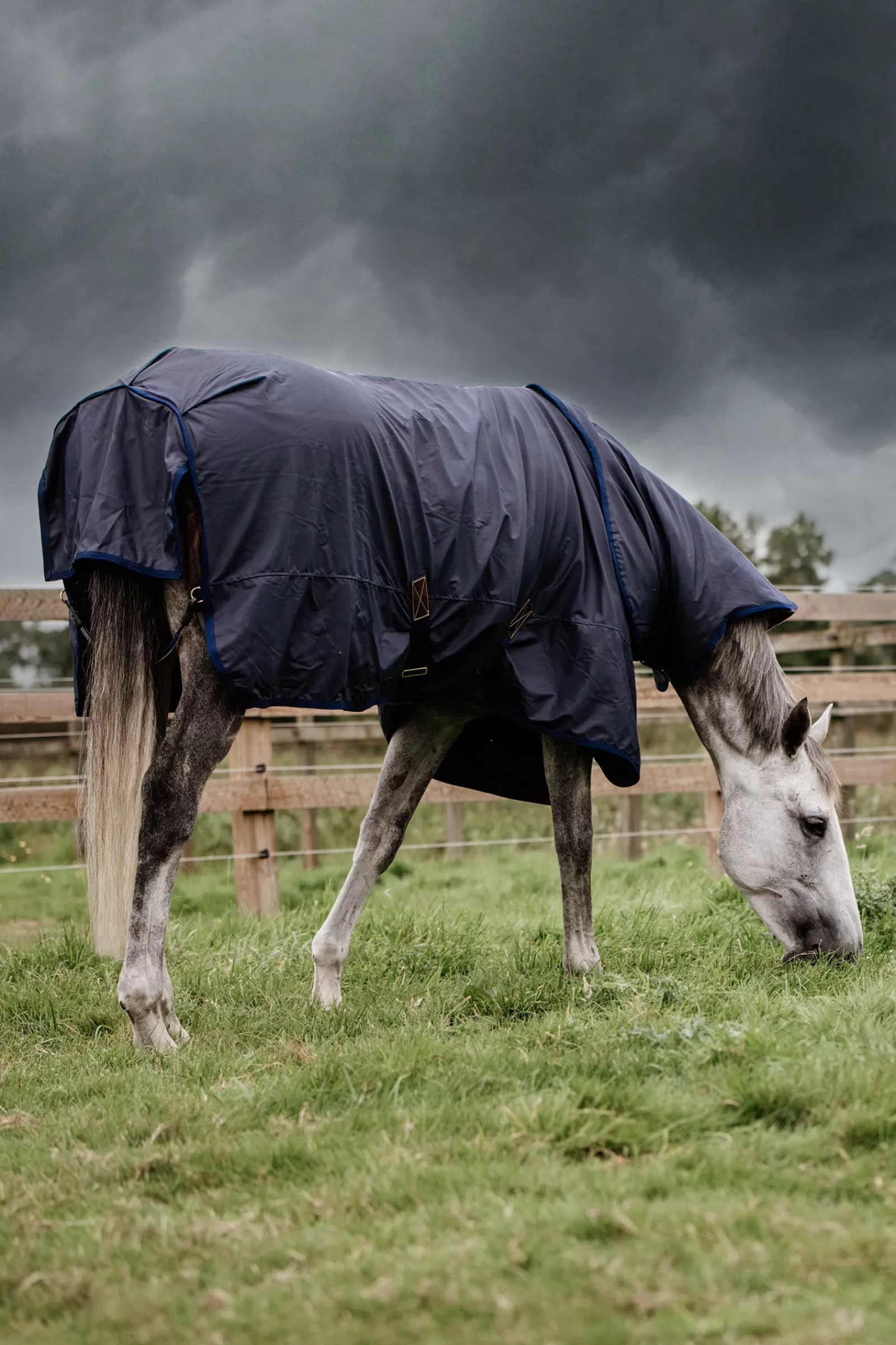 kentucky Horsewear All Weather Hurricane Turnout, 50G> Lightweight Turnout Rugs