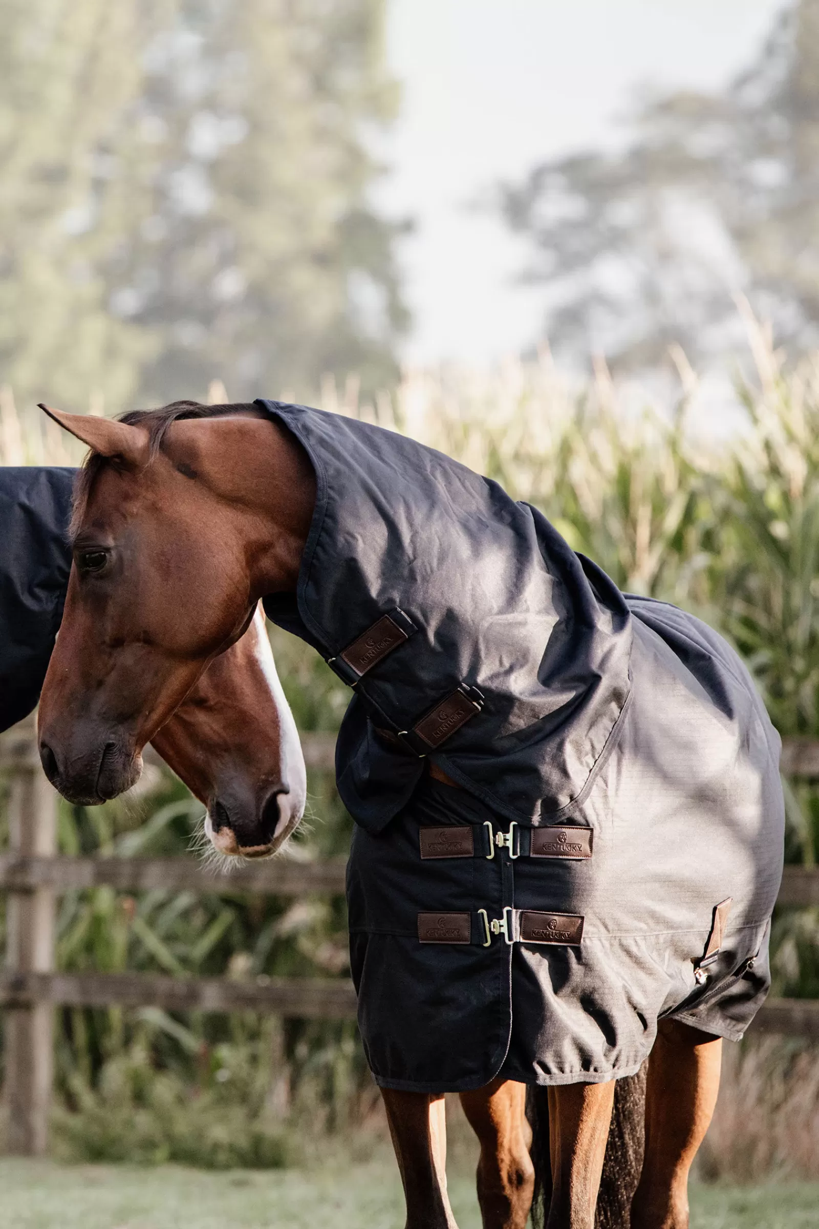 kentucky Horsewear All Weather Waterproof Classic Turnout Rug, 0G> Lightweight Turnout Rugs