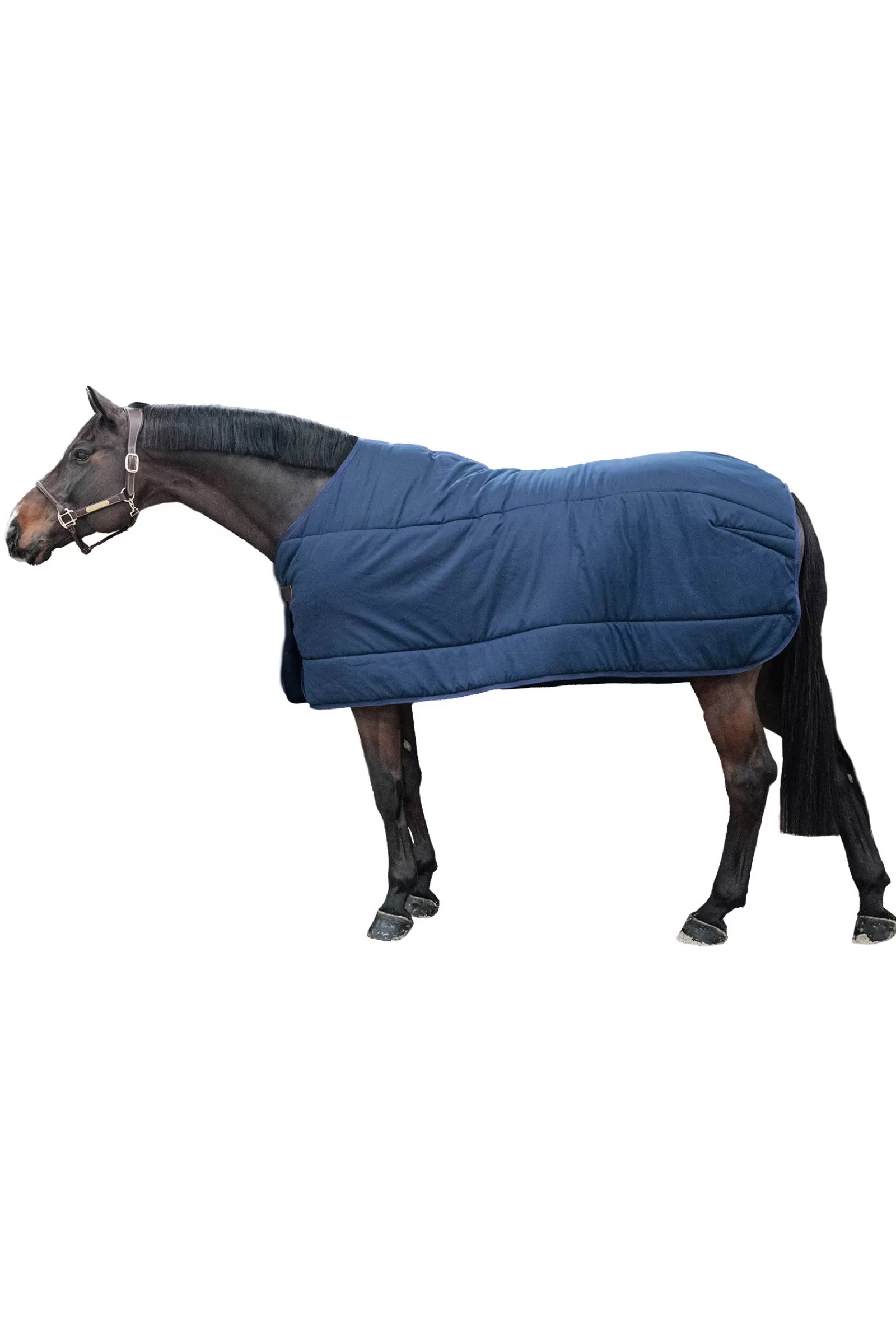 kentucky Horsewear Classic Under Rug, 100G> Stable Rugs & Liners