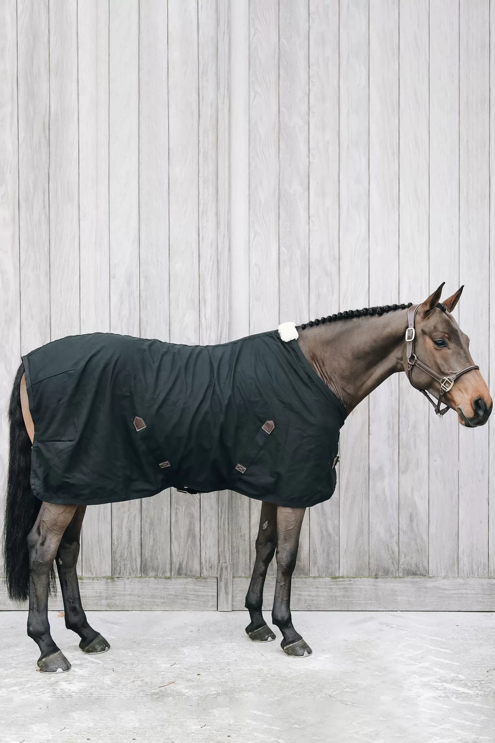 kentucky Horsewear Cotton Cooler> Fleece Horse Rugs & Cooler Rugs