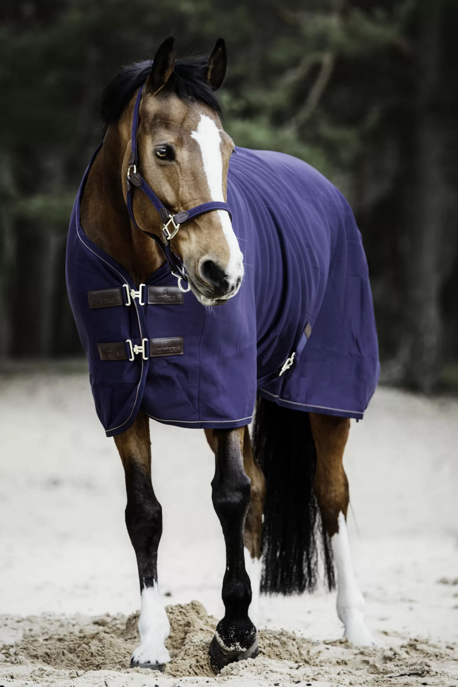 kentucky Horsewear Fleece Cooler> Fleece Horse Rugs & Cooler Rugs