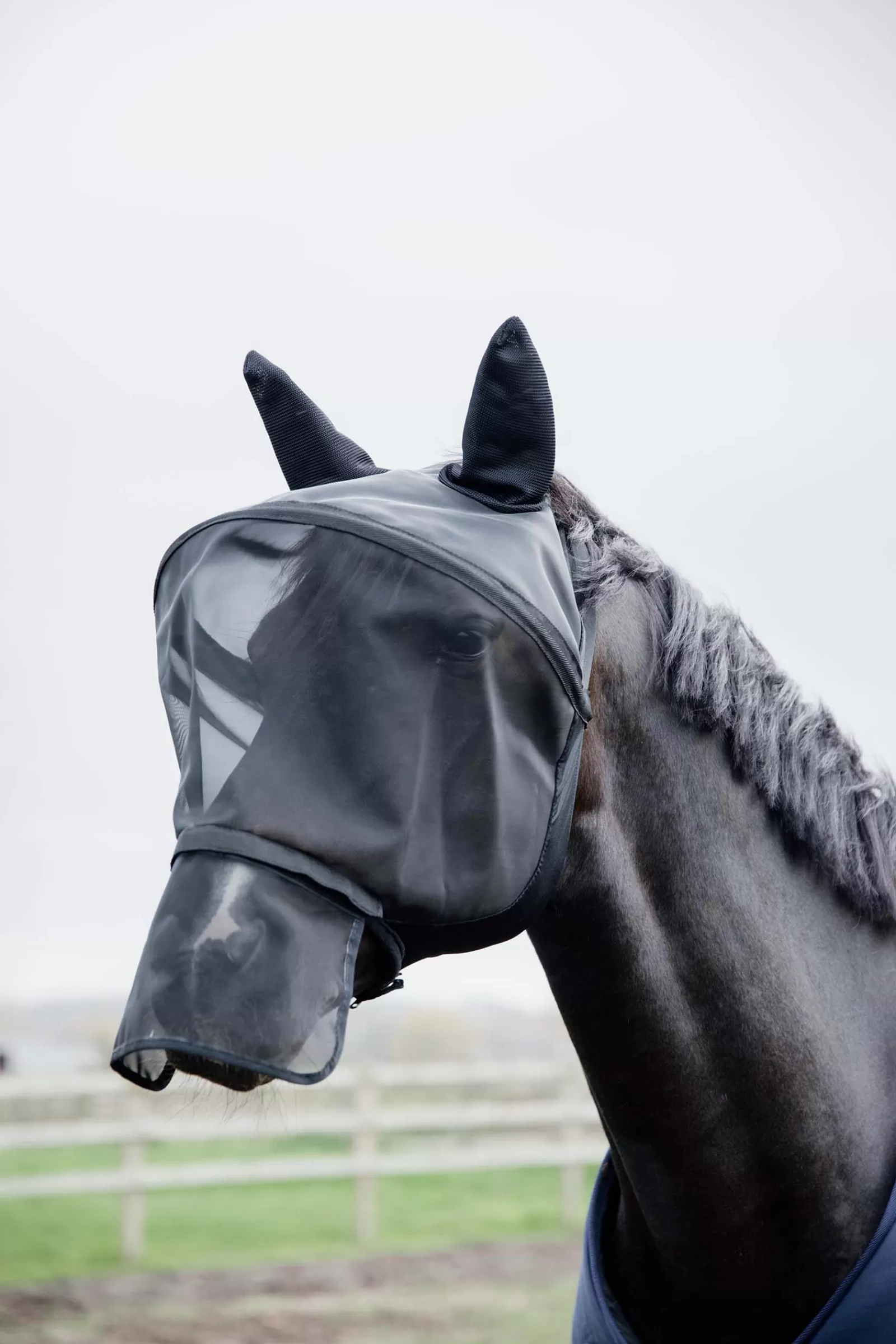 kentucky Horsewear Fly Mask Pro> Fly Masks & Fringes