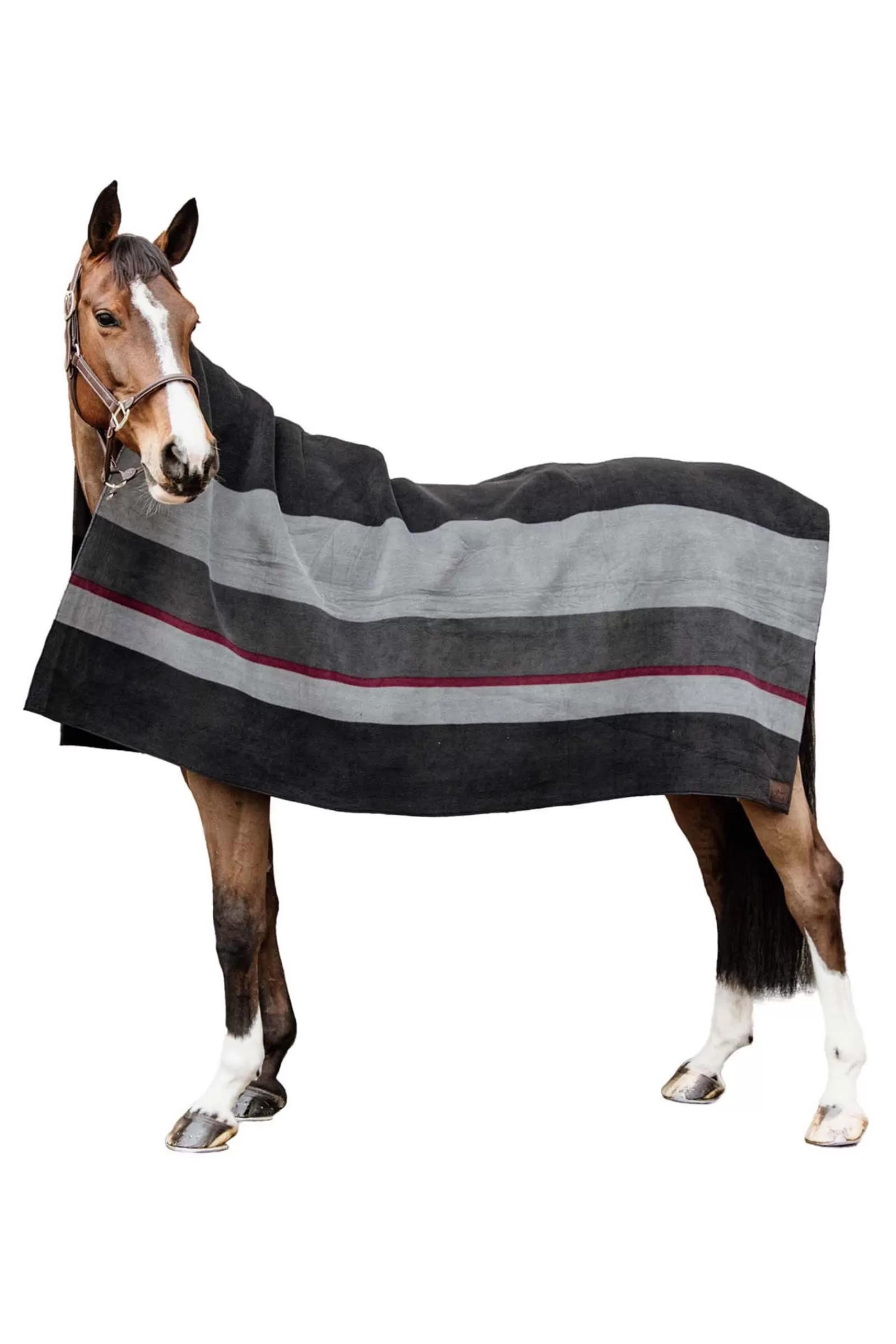 kentucky Horsewear Heavy Fleece Rug> Fleece Horse Rugs & Cooler Rugs