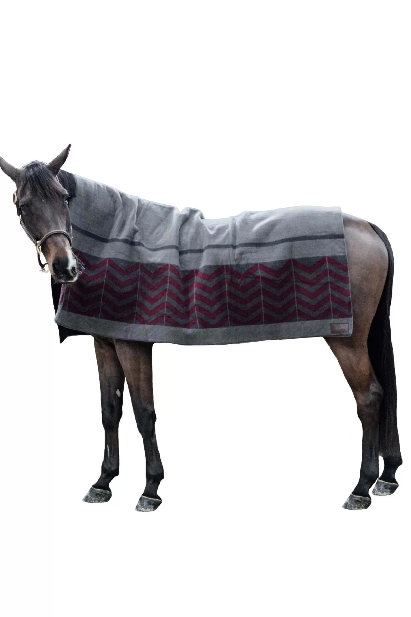 kentucky Horsewear Heavy Fleece Rug> Fleece Horse Rugs & Cooler Rugs