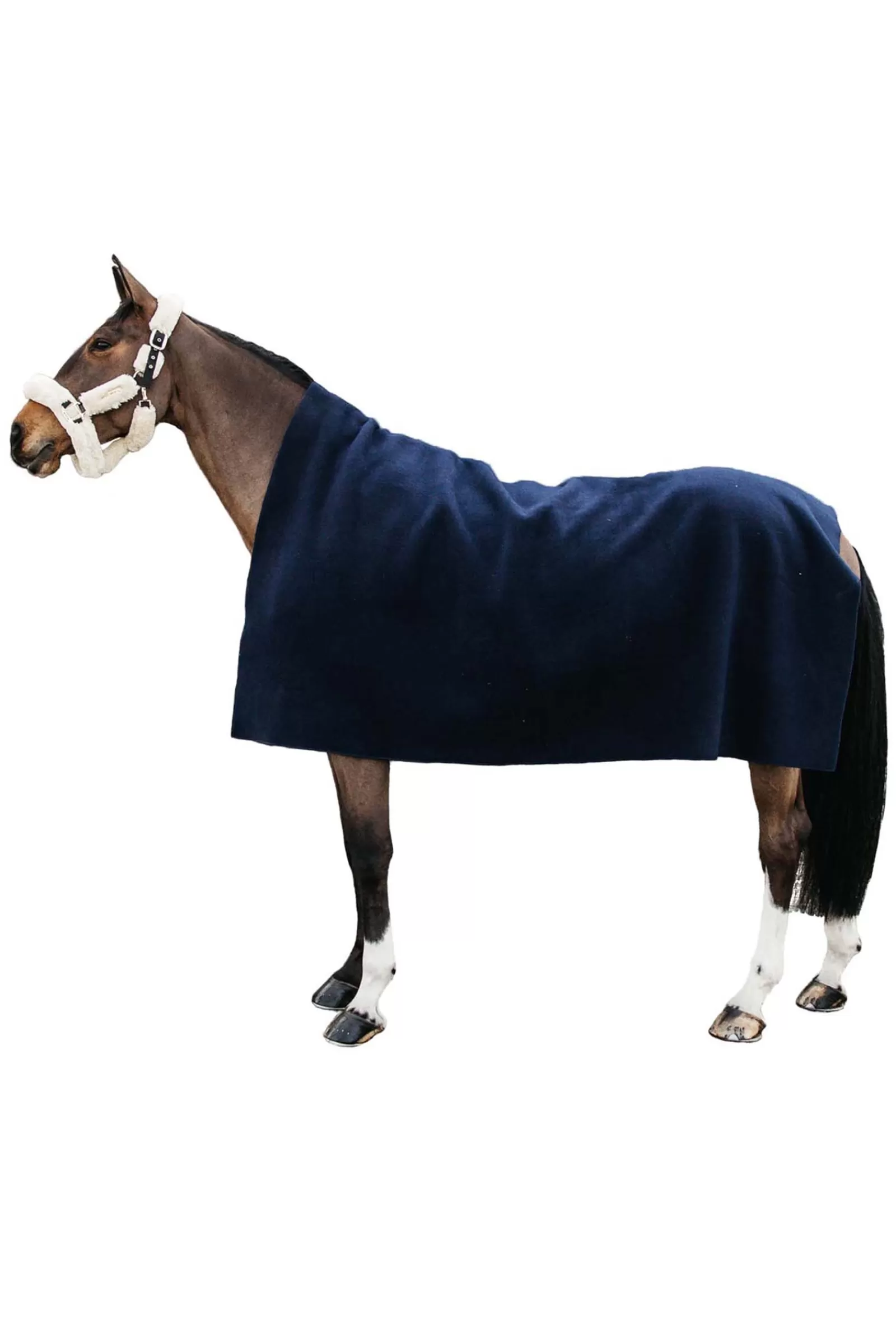 kentucky Horsewear Heavy Fleece Rug> Fleece Horse Rugs & Cooler Rugs