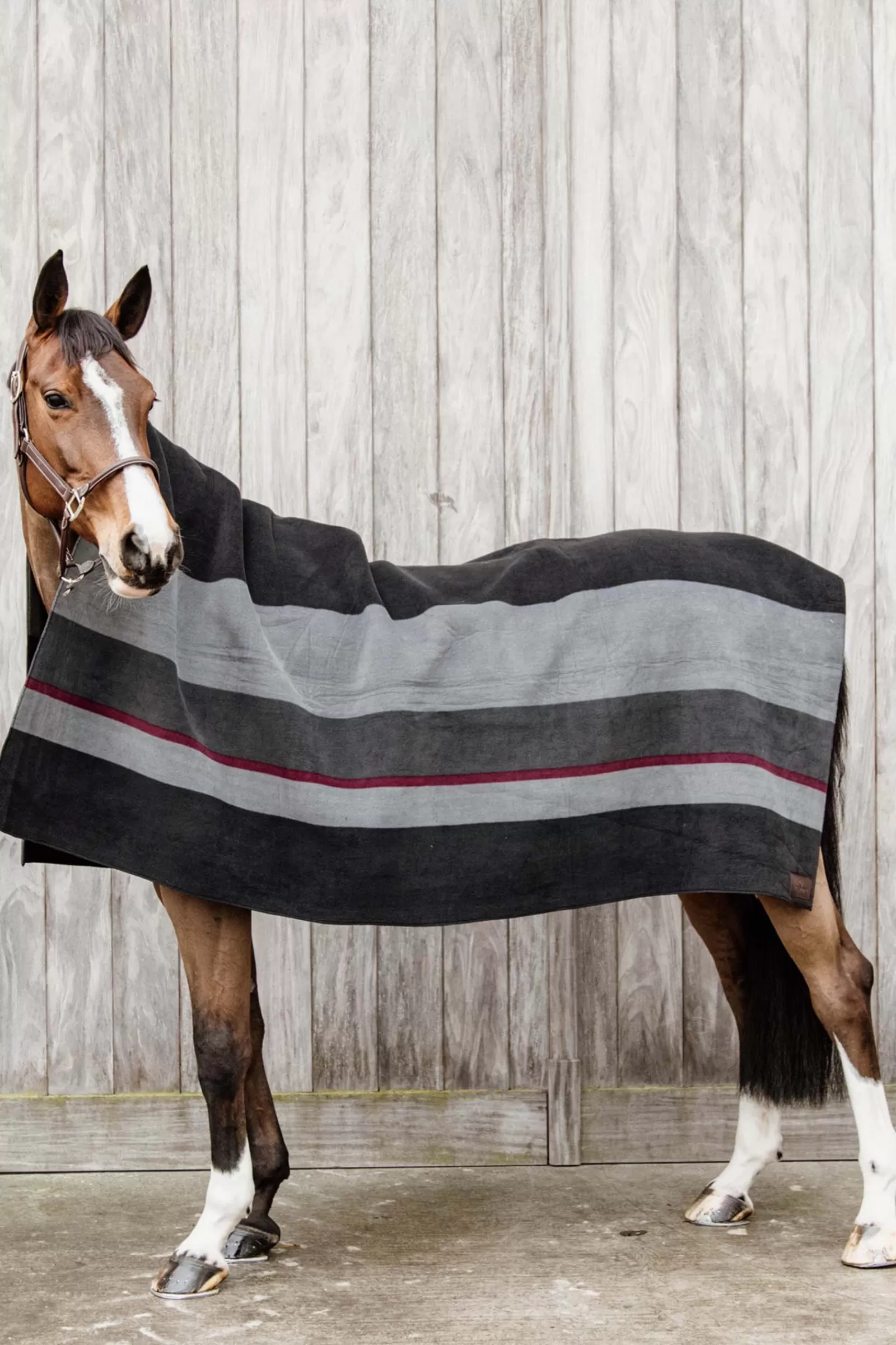 kentucky Horsewear Heavy Fleece Rug Square> Fleece Horse Rugs & Cooler Rugs