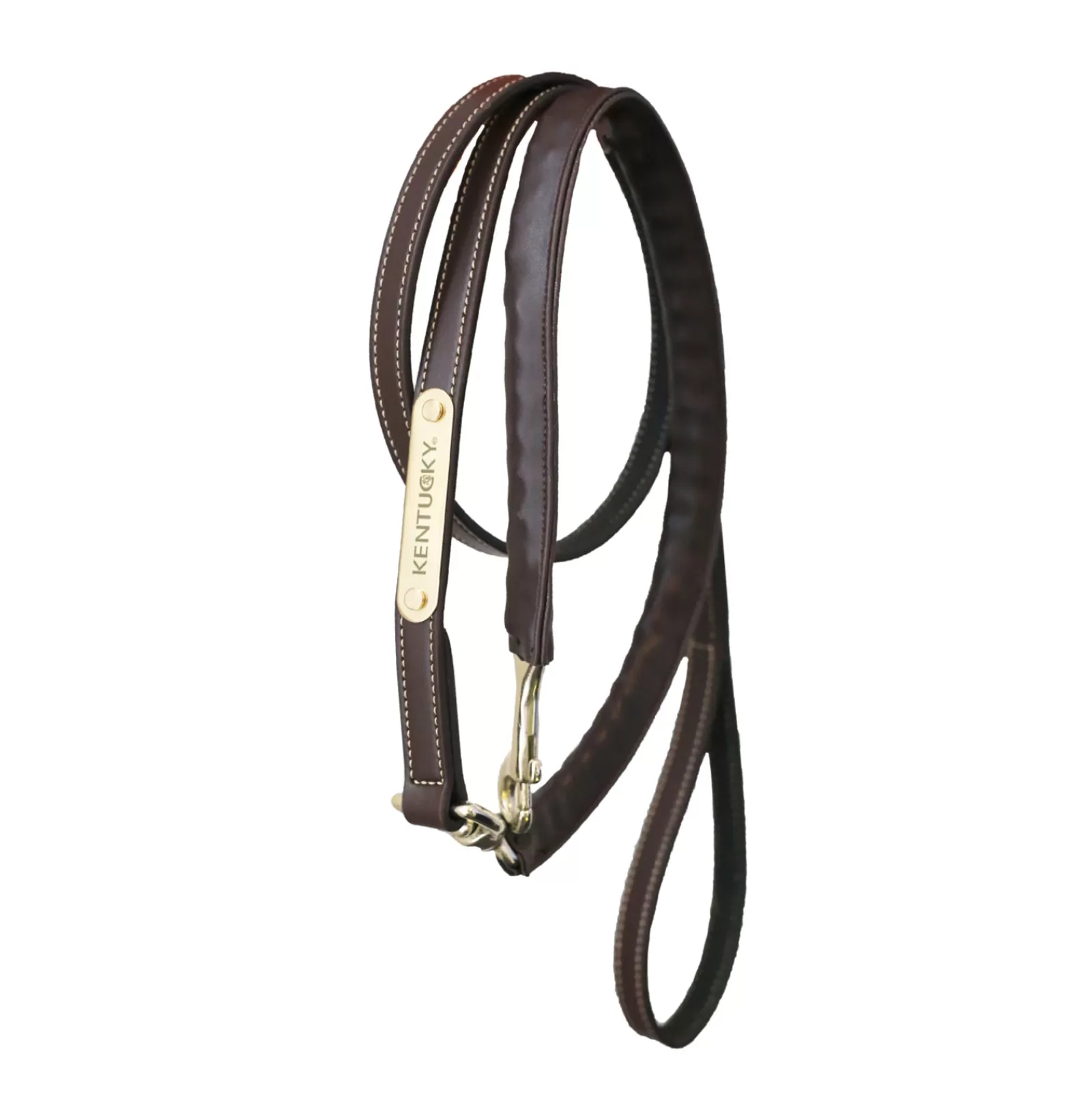 kentucky Horsewear Leather Covered Chain Lead> Lead Ropes