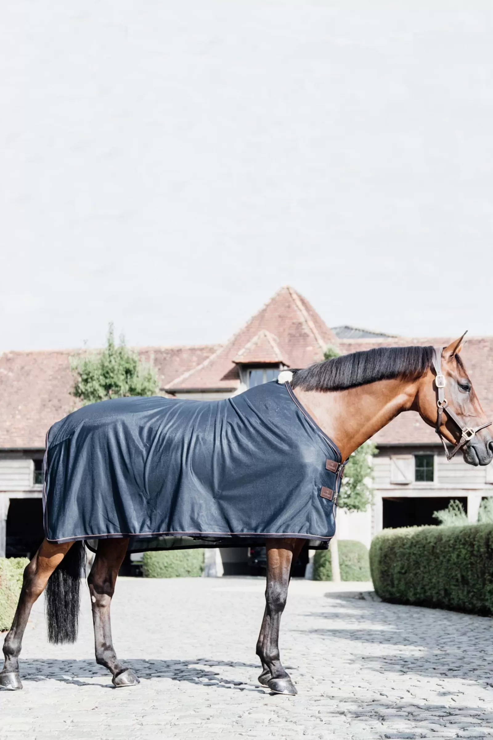 kentucky Horsewear Mesh Fly Sheet> Fly Rugs