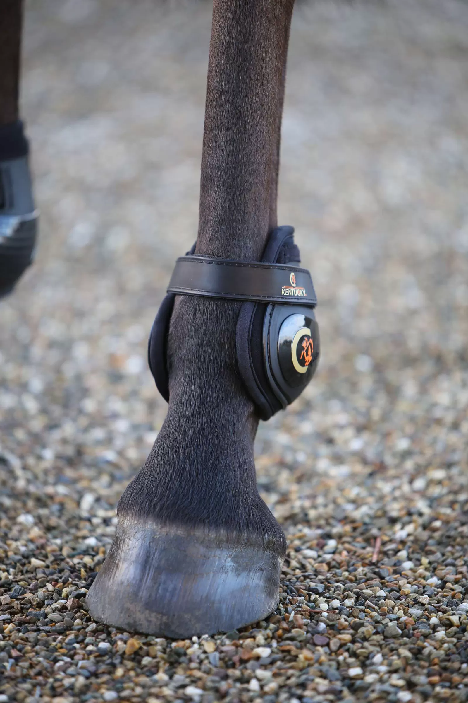 kentucky Horsewear Moonboots, Hind> Fetlock Boots