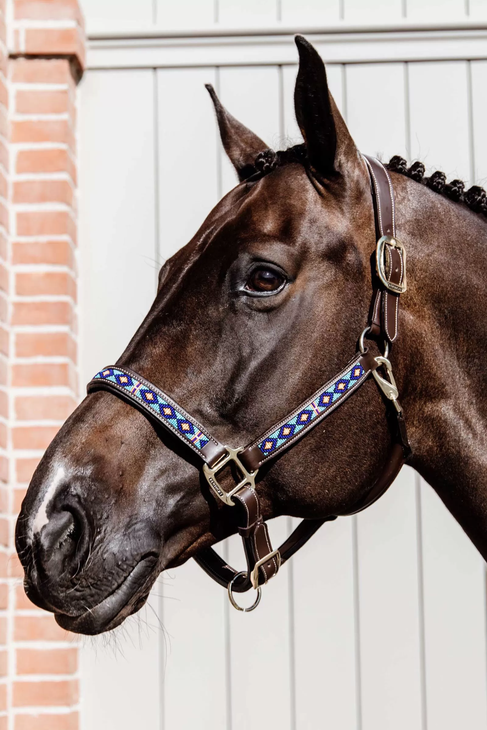 kentucky Horsewear Pearls Halter> Headcollars & Halters