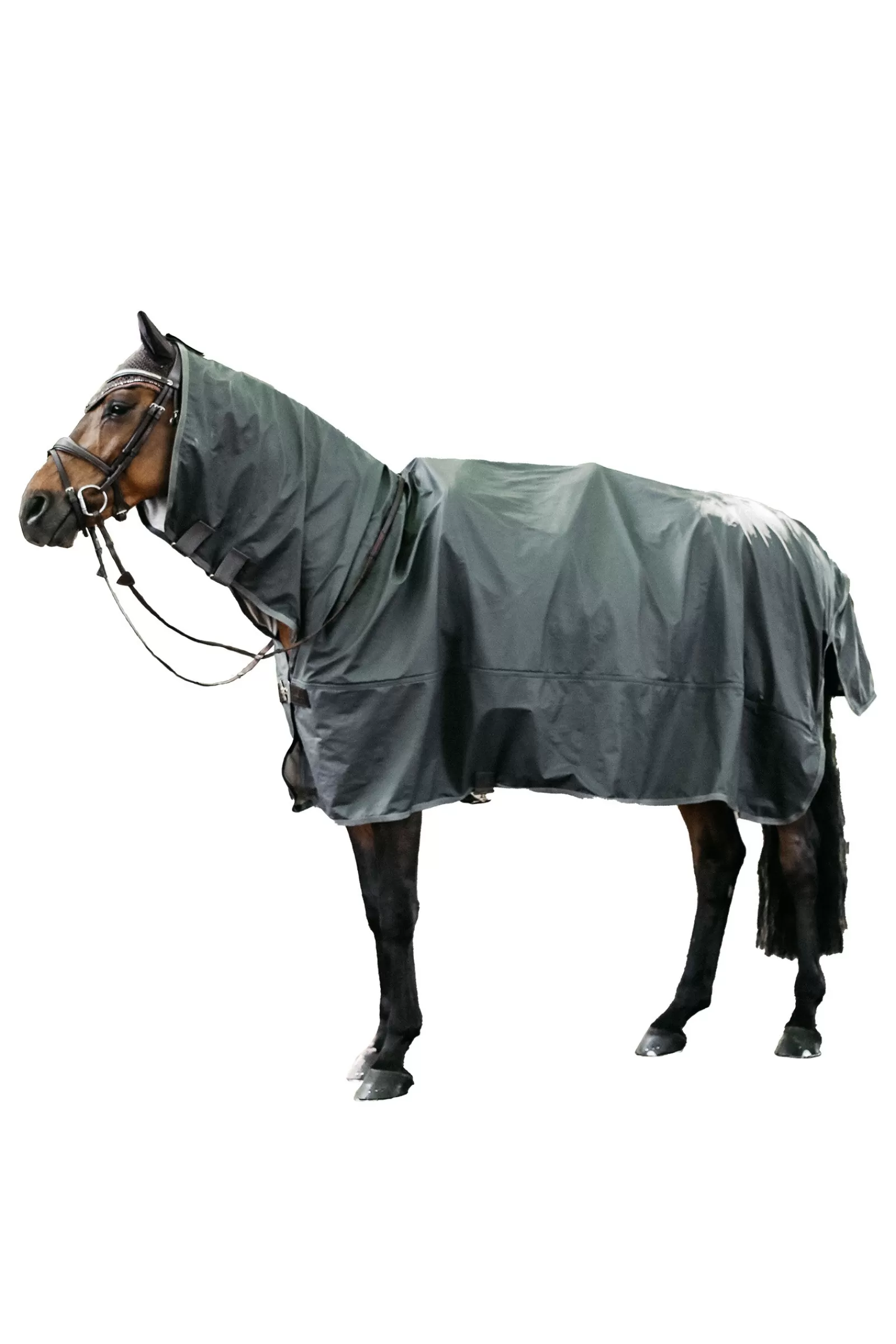 kentucky Horsewear Rin Sheet, 0G> Lightweight Turnout Rugs