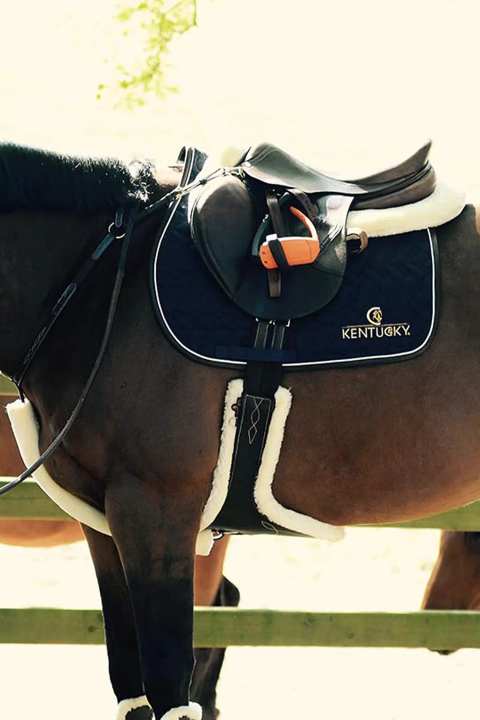 kentucky Horsewear Sheepskin Stud Girth> Girths