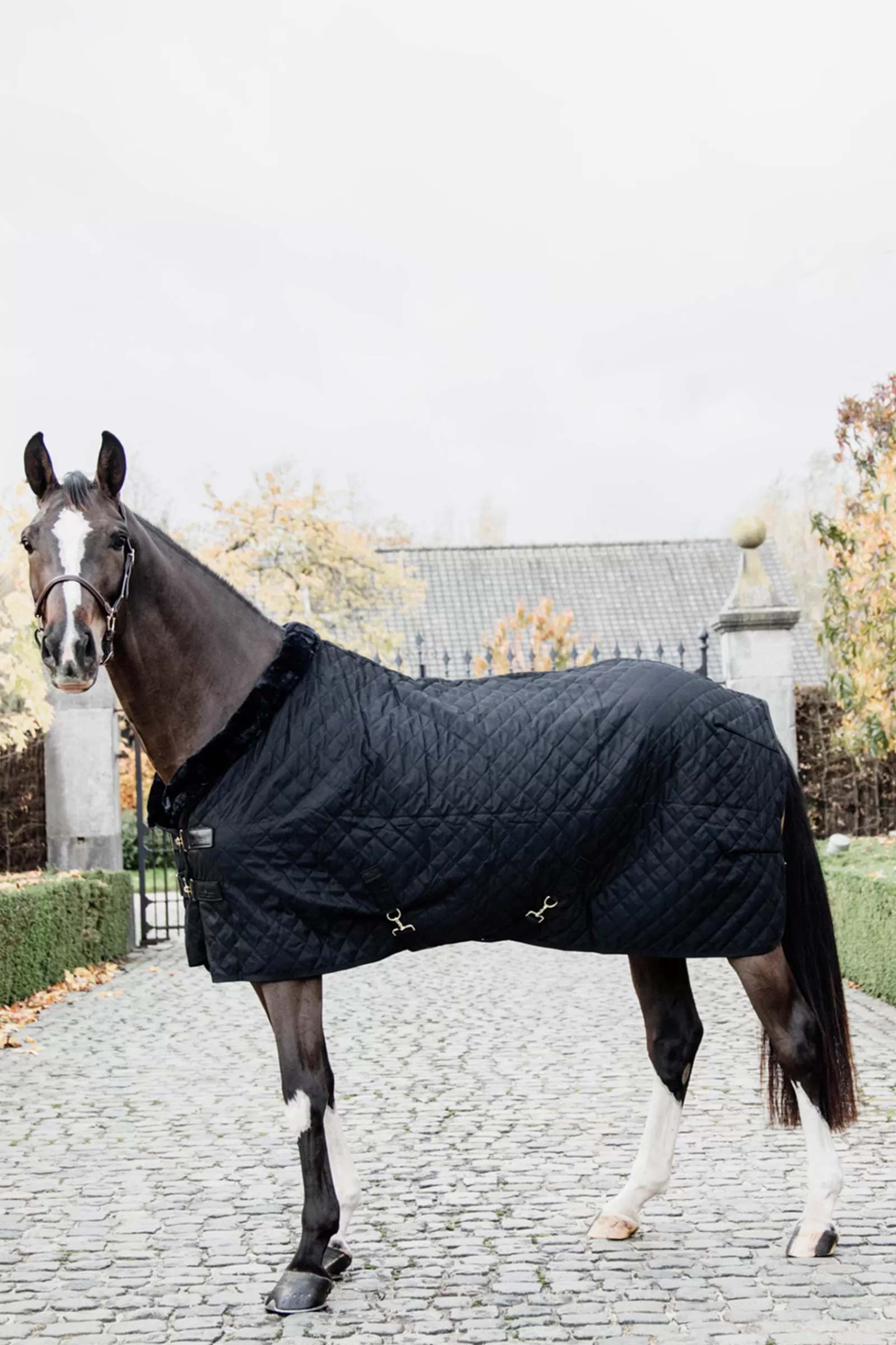 kentucky Horsewear Show Rug, 160G> Stable Rugs & Liners