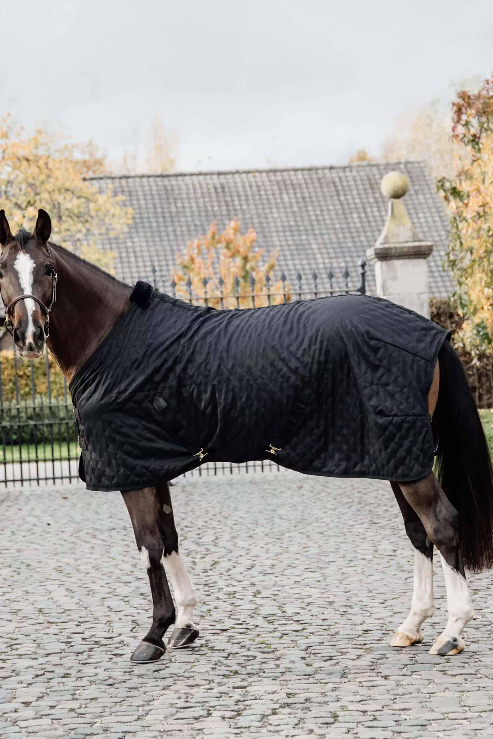 kentucky Horsewear Stable Rug, 0G> Stable Rugs & Liners