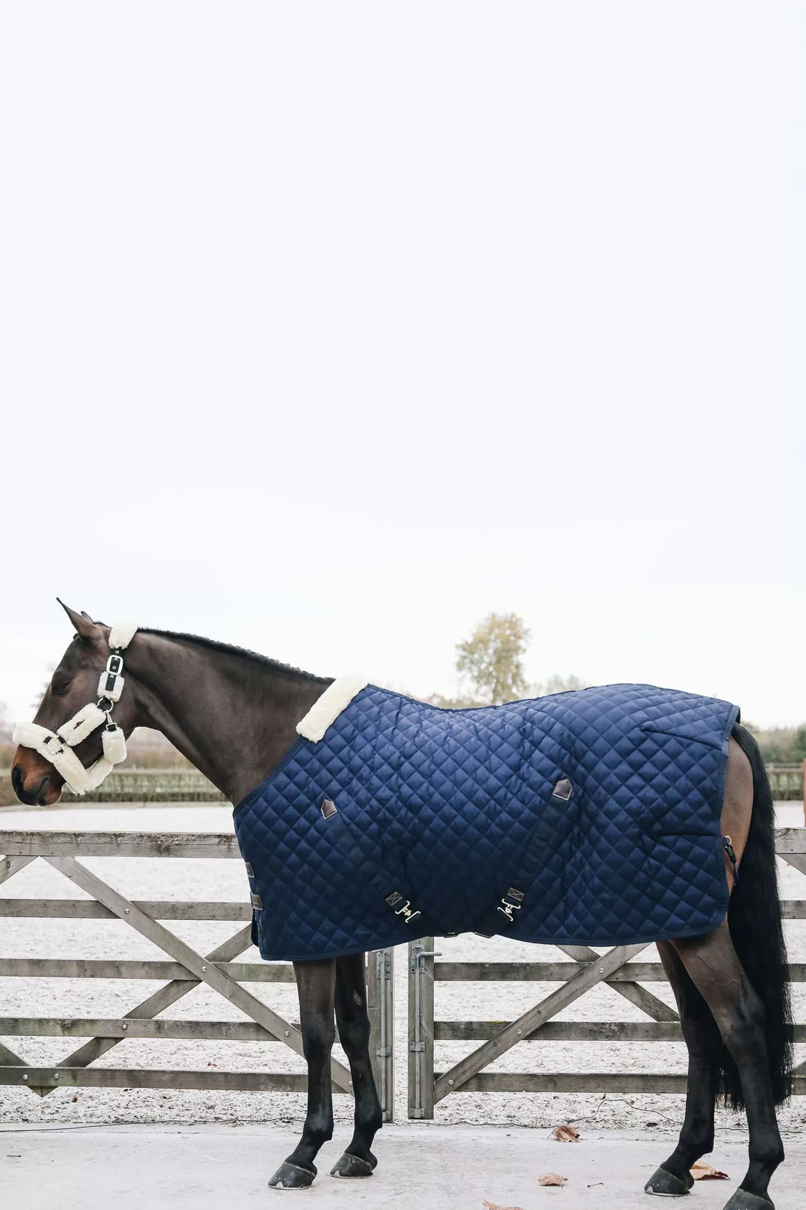 kentucky Horsewear Stable Rug, 200G> Stable Rugs & Liners