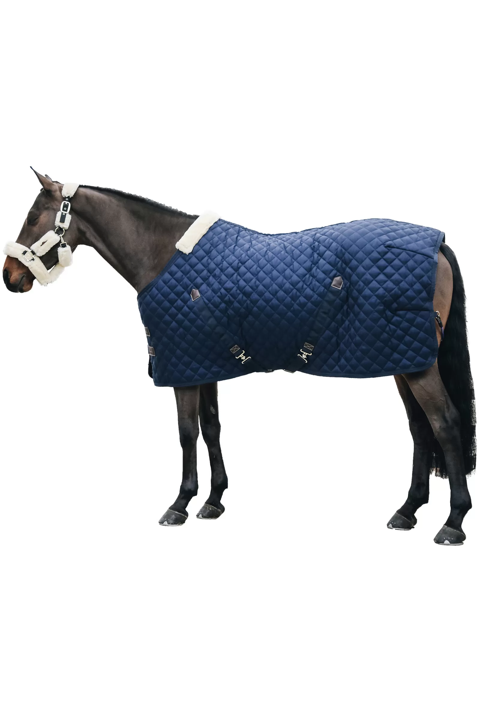 kentucky Horsewear Stable Rug, 400G> Stable Rugs & Liners