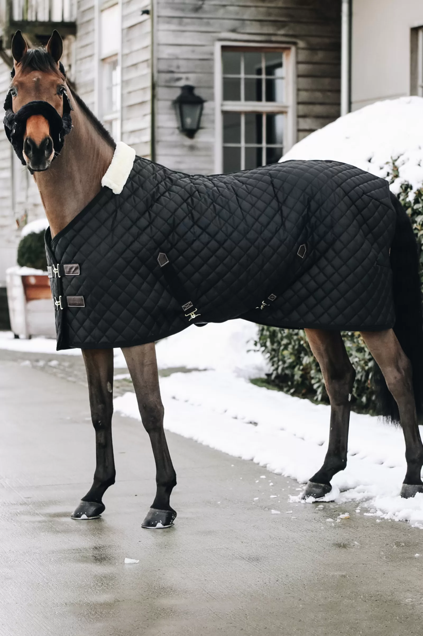 kentucky Horsewear Stable Rug, 400G> Stable Rugs & Liners