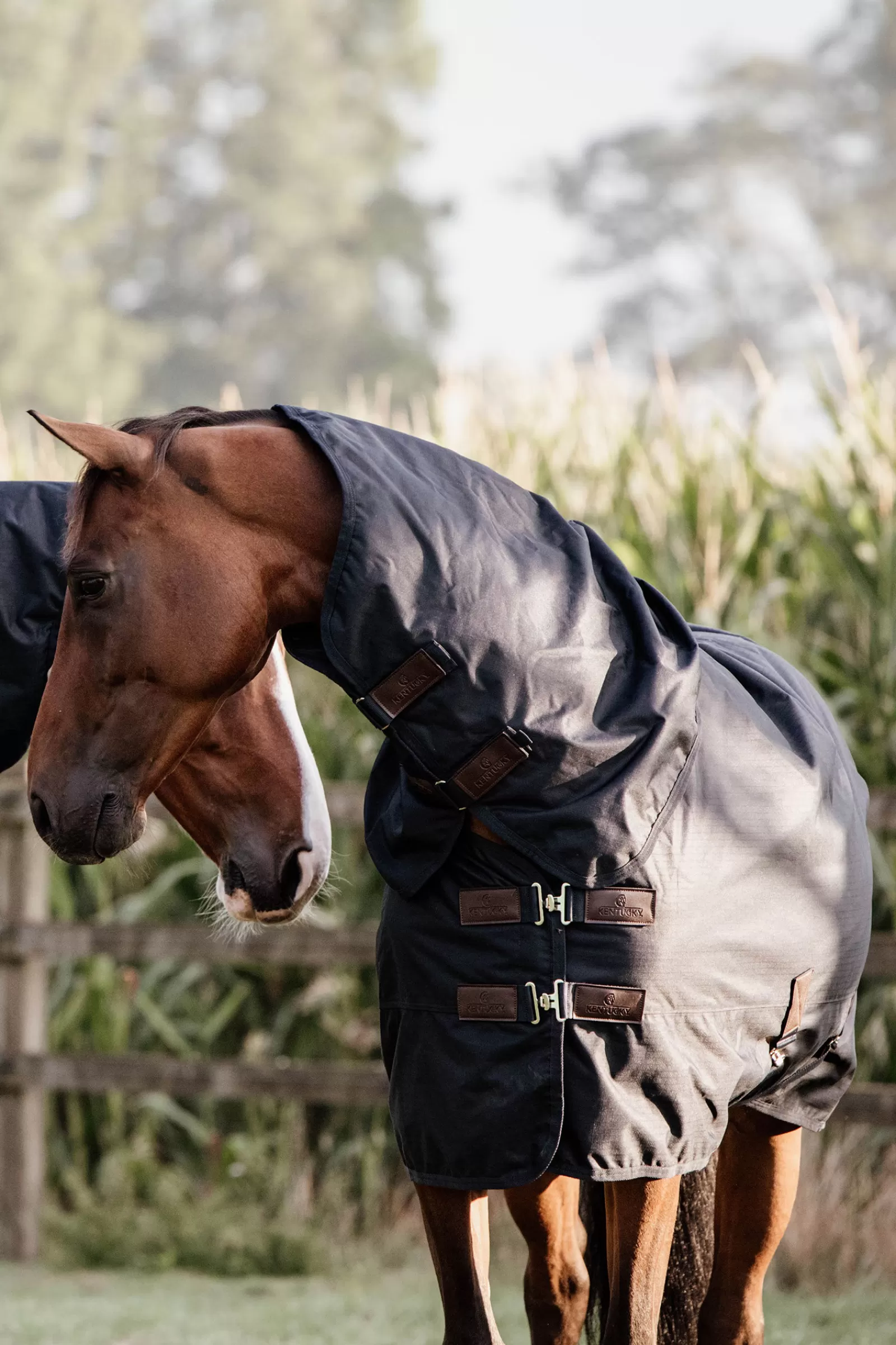 kentucky Horsewear Turnout Rug All Weather Waterproof Classic, 150G> Medium & Heavyweight Turnout Rugs