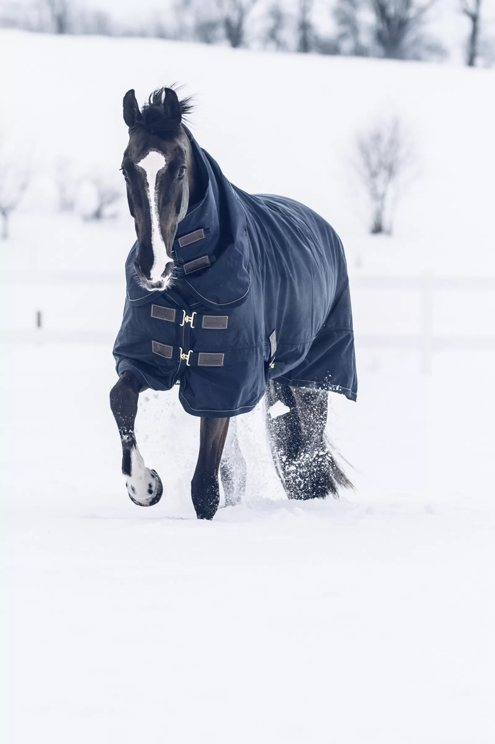 kentucky Horsewear Turnout Rug All Weather Waterproof Classic, 300G> Medium & Heavyweight Turnout Rugs