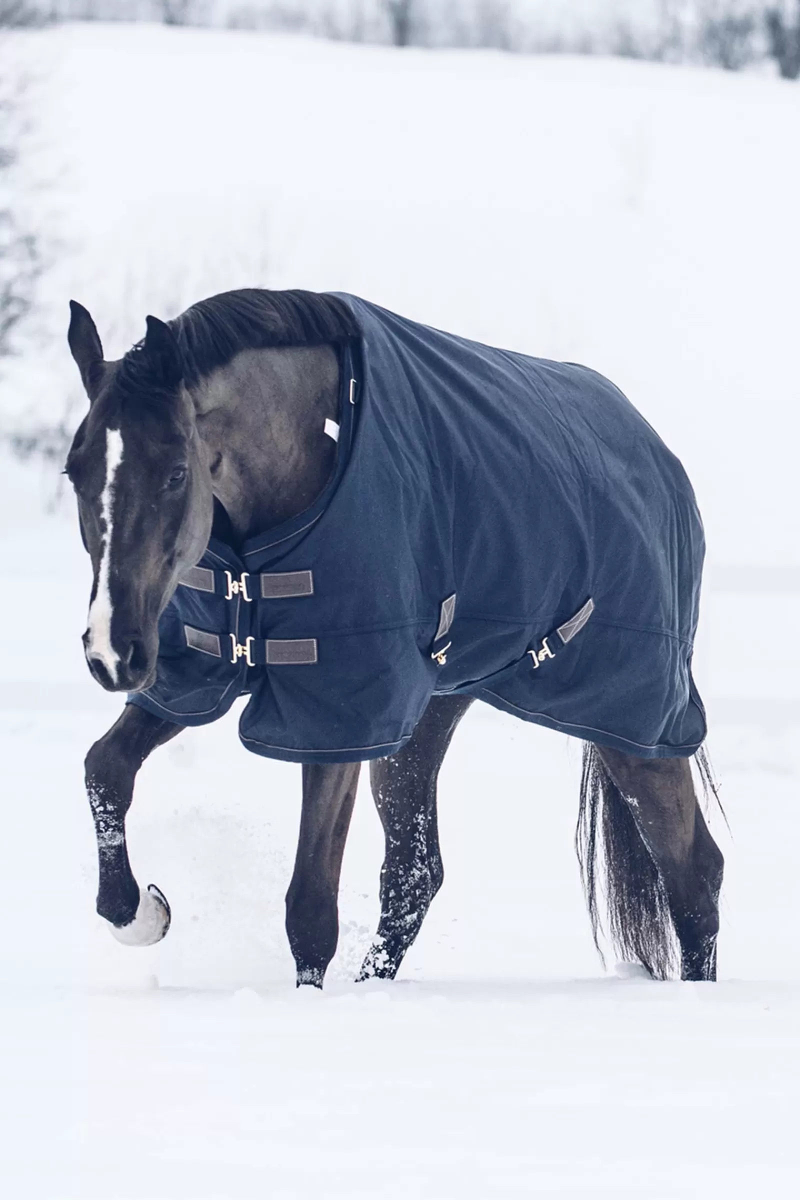 kentucky Horsewear Turnout Rug All Weather Waterproof Classic, 300G> Medium & Heavyweight Turnout Rugs