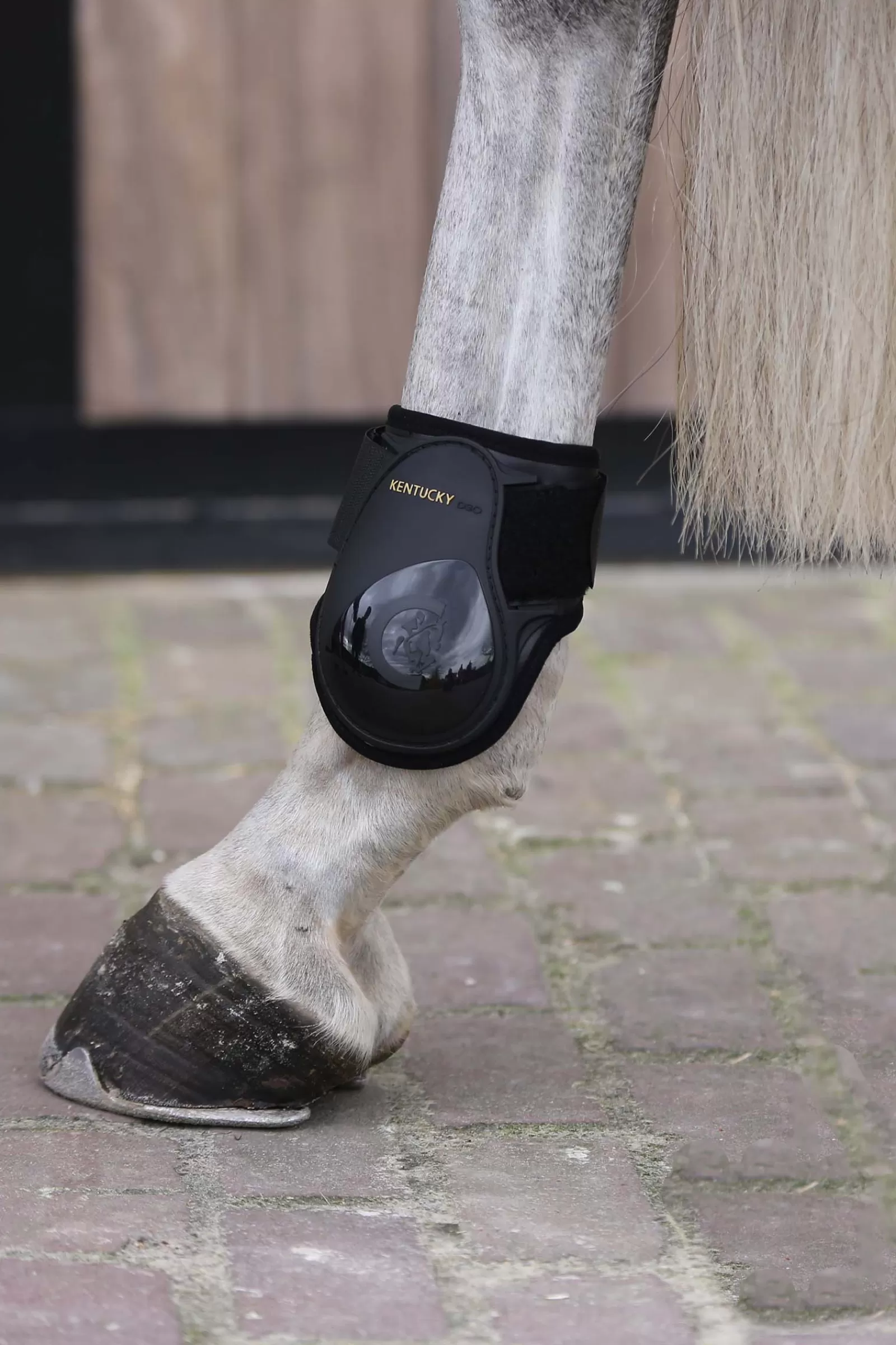 kentucky Horsewear Young Horse Fetlock Boots> Fetlock Boots