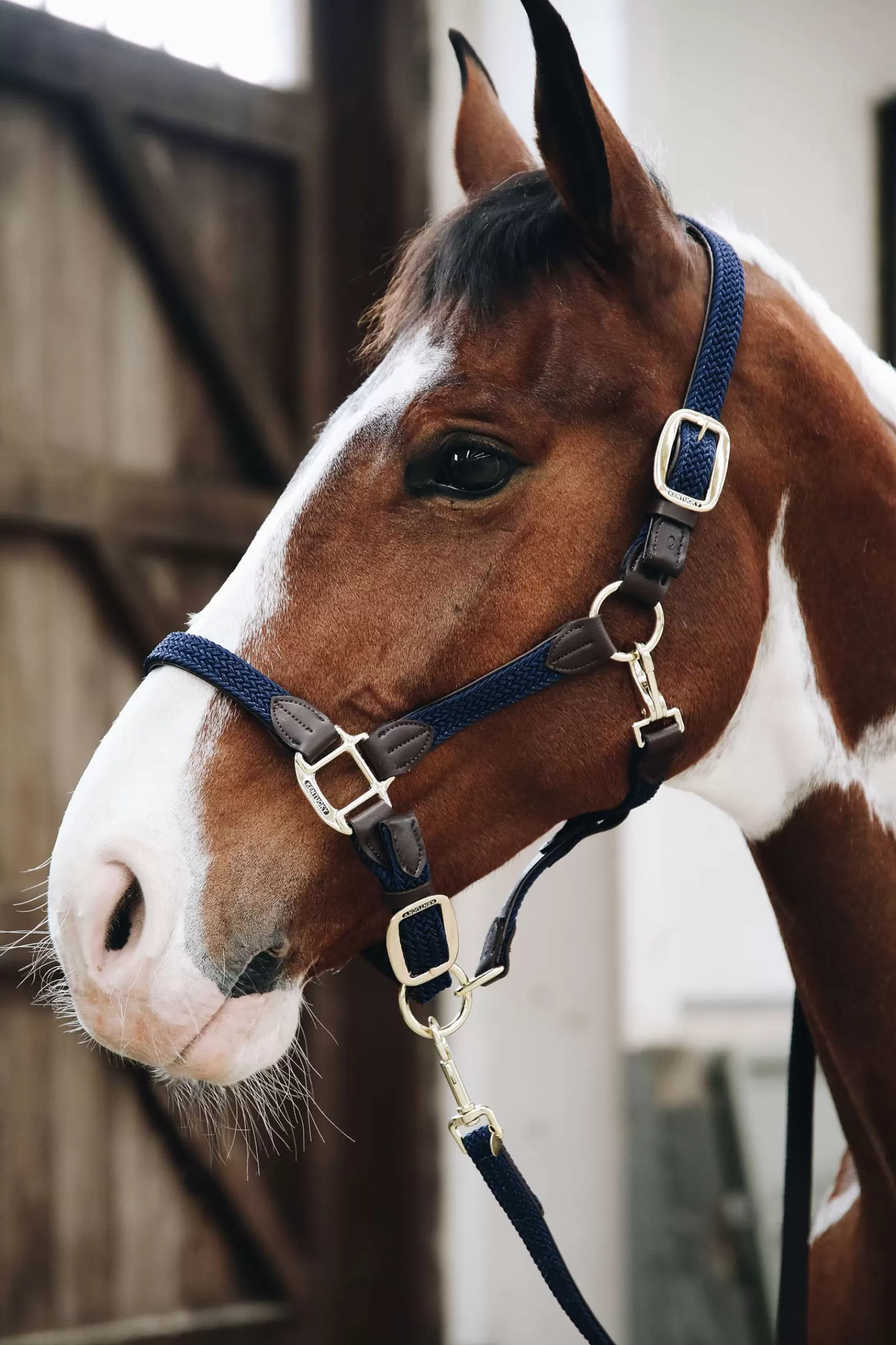 kentucky Plaited Nylon Halter> Headcollars & Halters