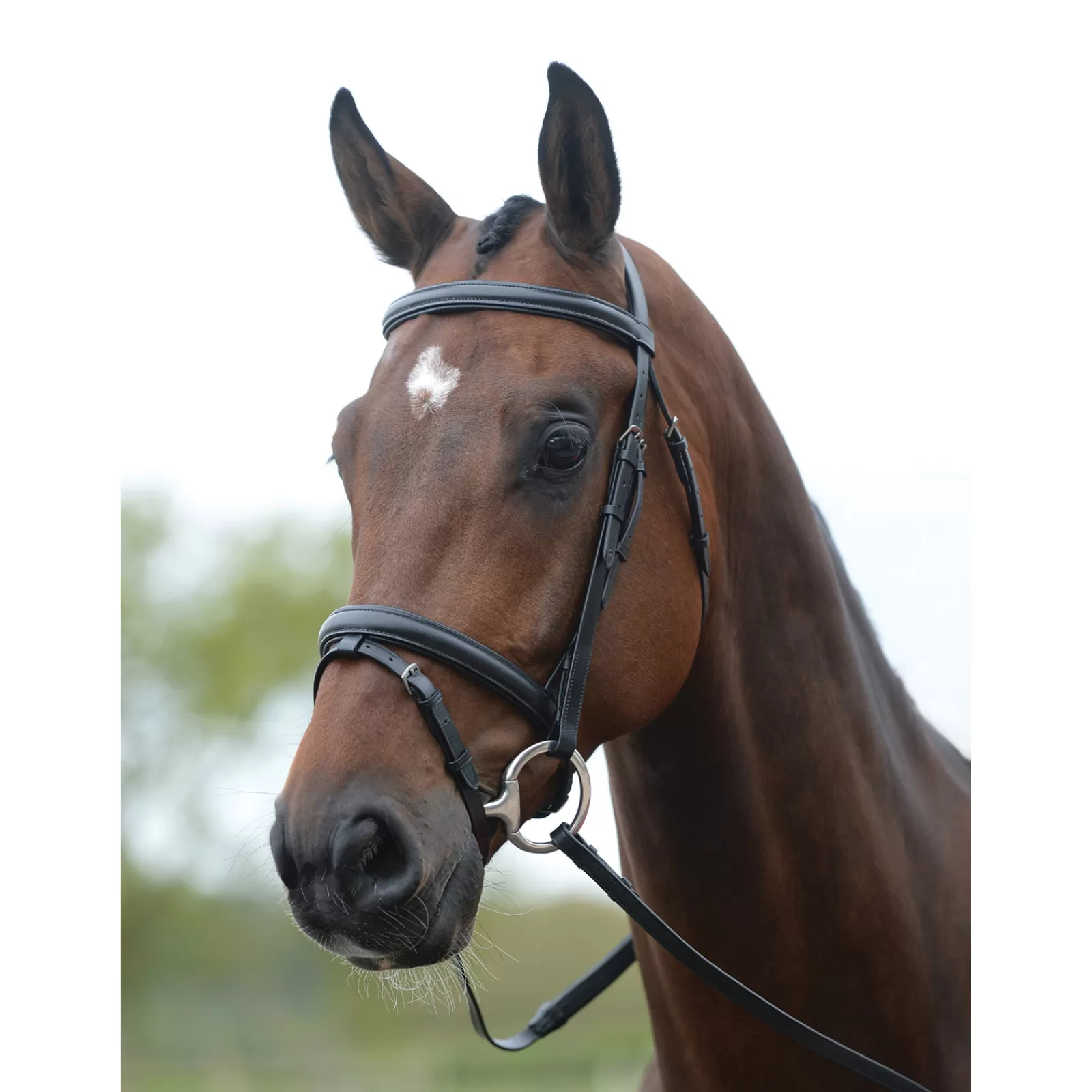 kincade Flash Bridle Ii> Bridles & Nosebands