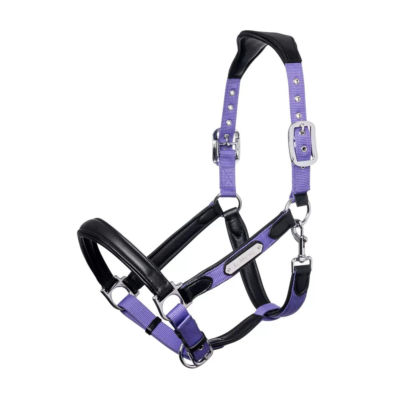 lemieux Capella Head Collars> Headcollars & Halters