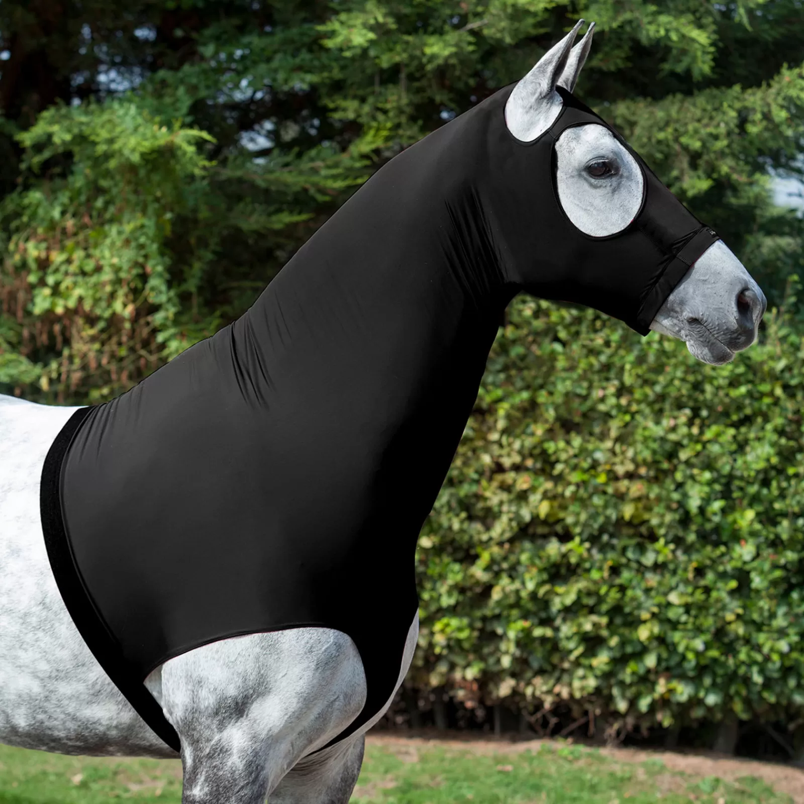 lemieux Lycra Hoods> Stable Rugs & Liners