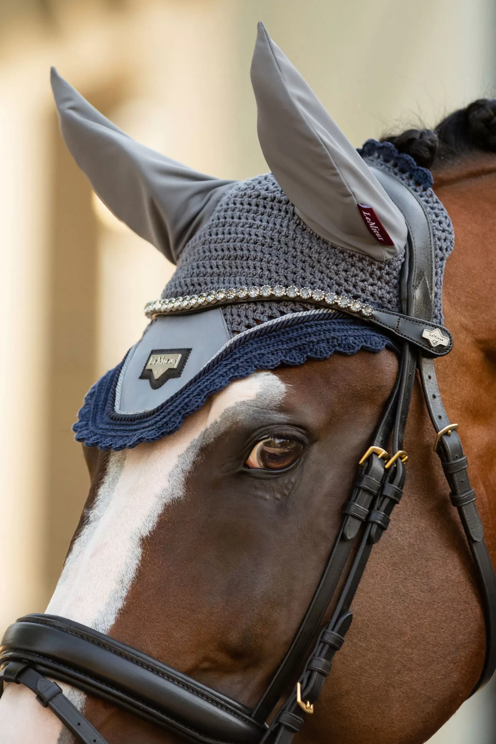 lemieux Twilight Browband> Browbands