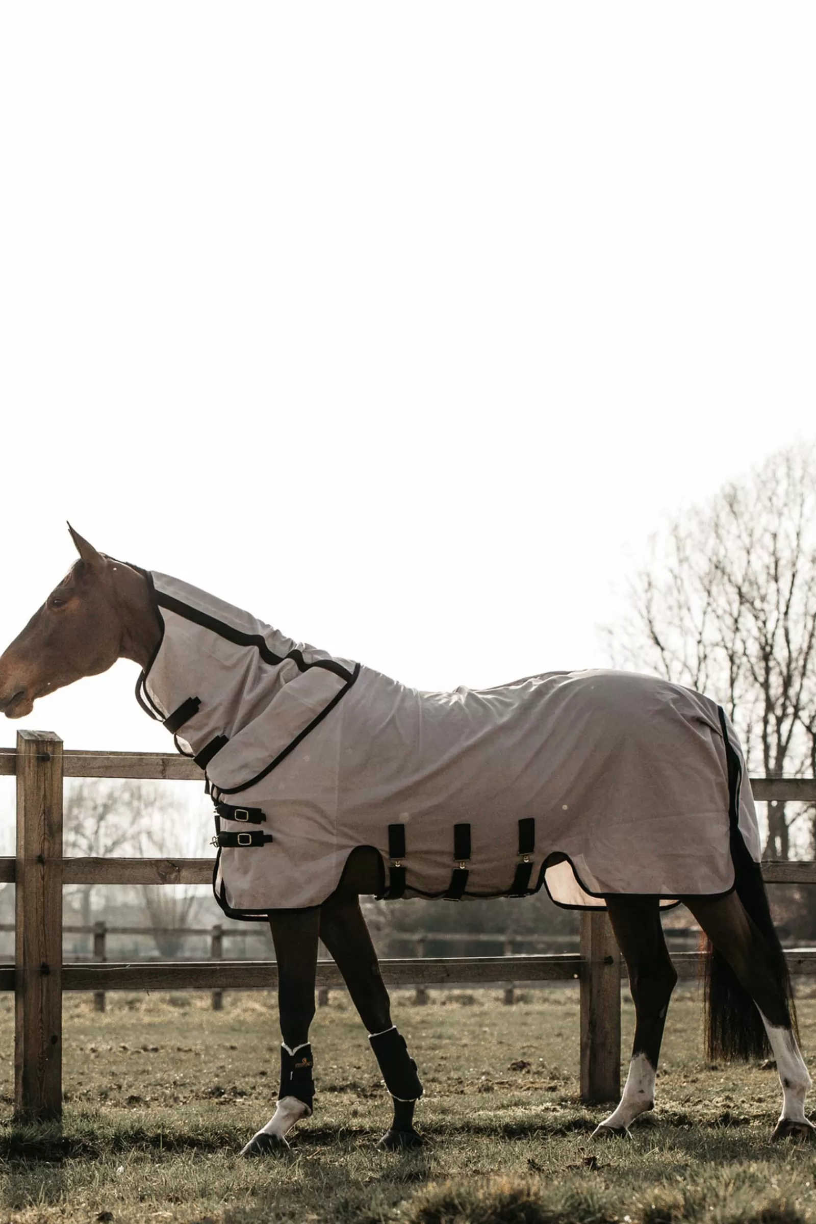 kentucky Mesh Fly Rug> Fly Rugs