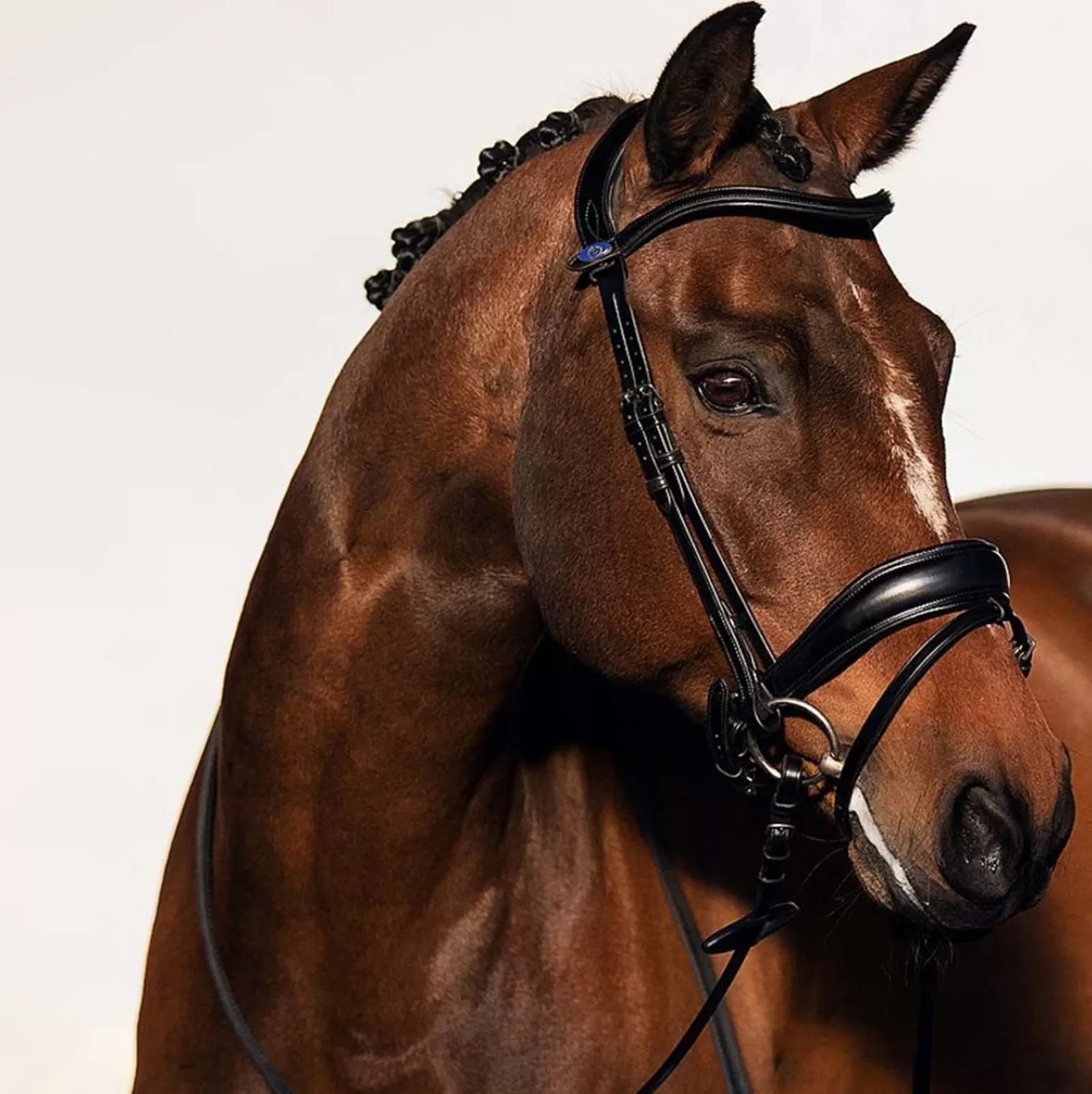 psofsweden Ps Of Sweden Flying Change Bridle> Bridles & Nosebands