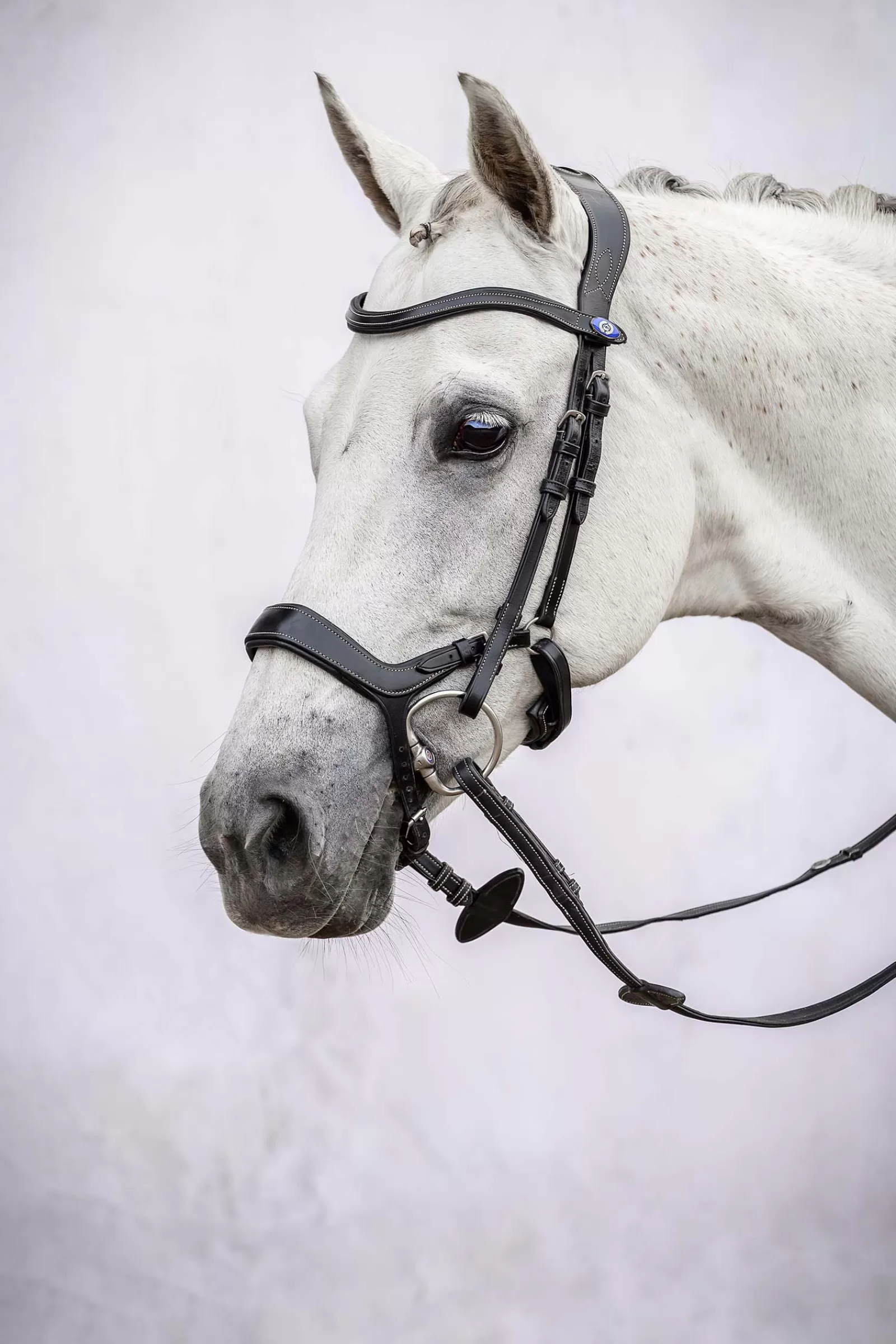 psofsweden Ps Of Sweden Pioneer Bridle> Bridles & Nosebands