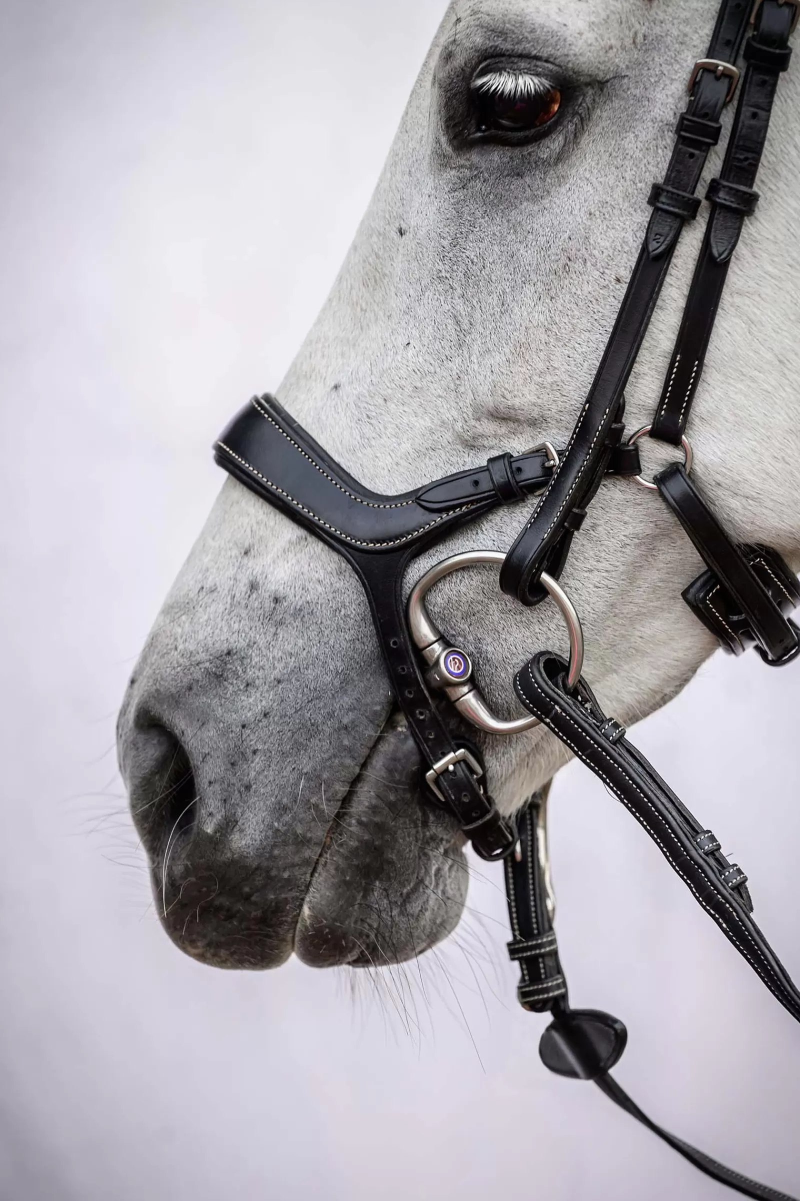 psofsweden Ps Of Sweden Pioneer Bridle> Bridles & Nosebands