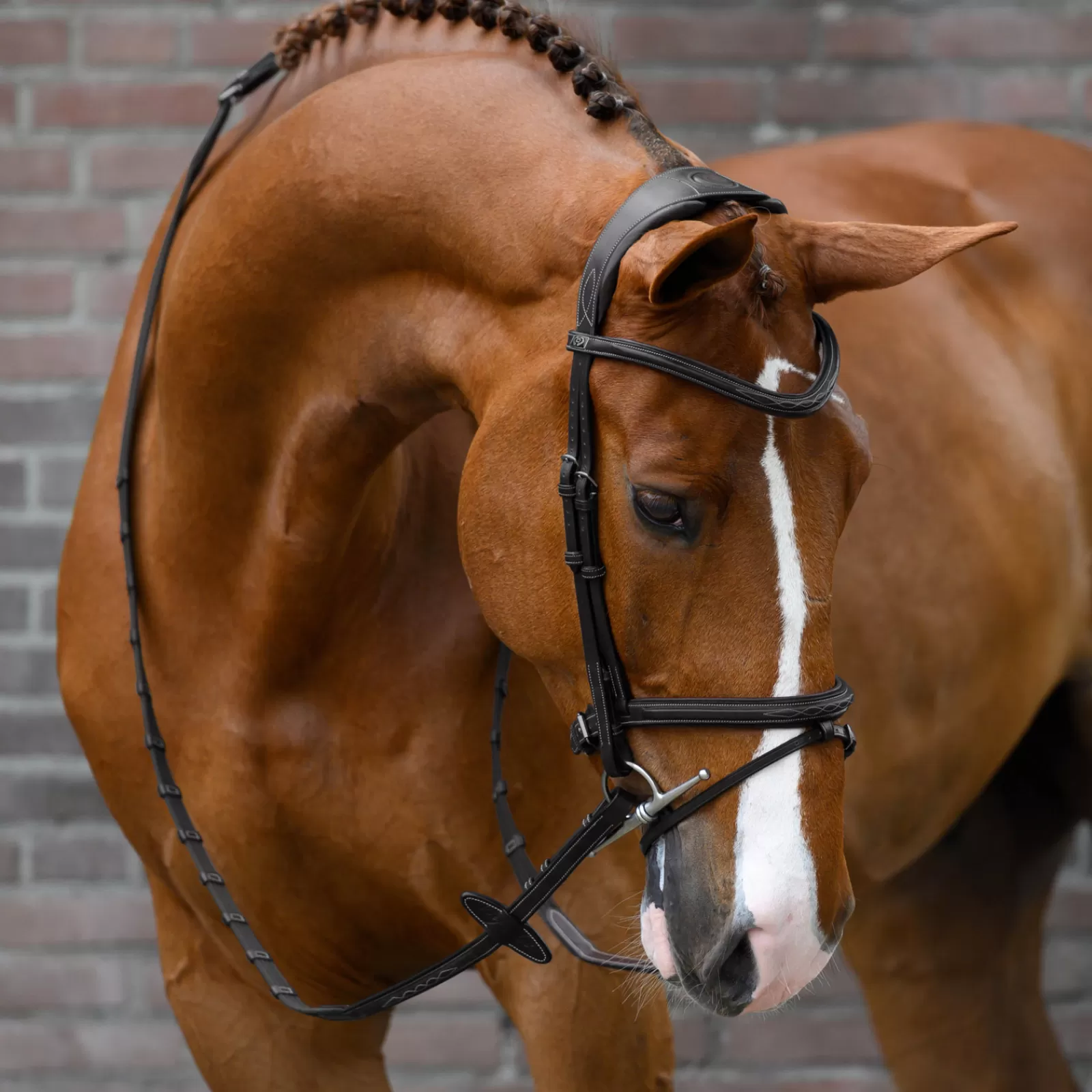 psofsweden Ps Of Sweden Stockholm Bridle> Bridles & Nosebands