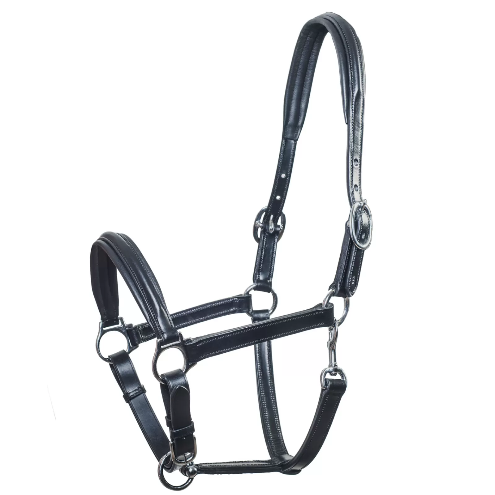 schockemohle Schockem Hle Ulm, Leather Halter> Leather Headcollars