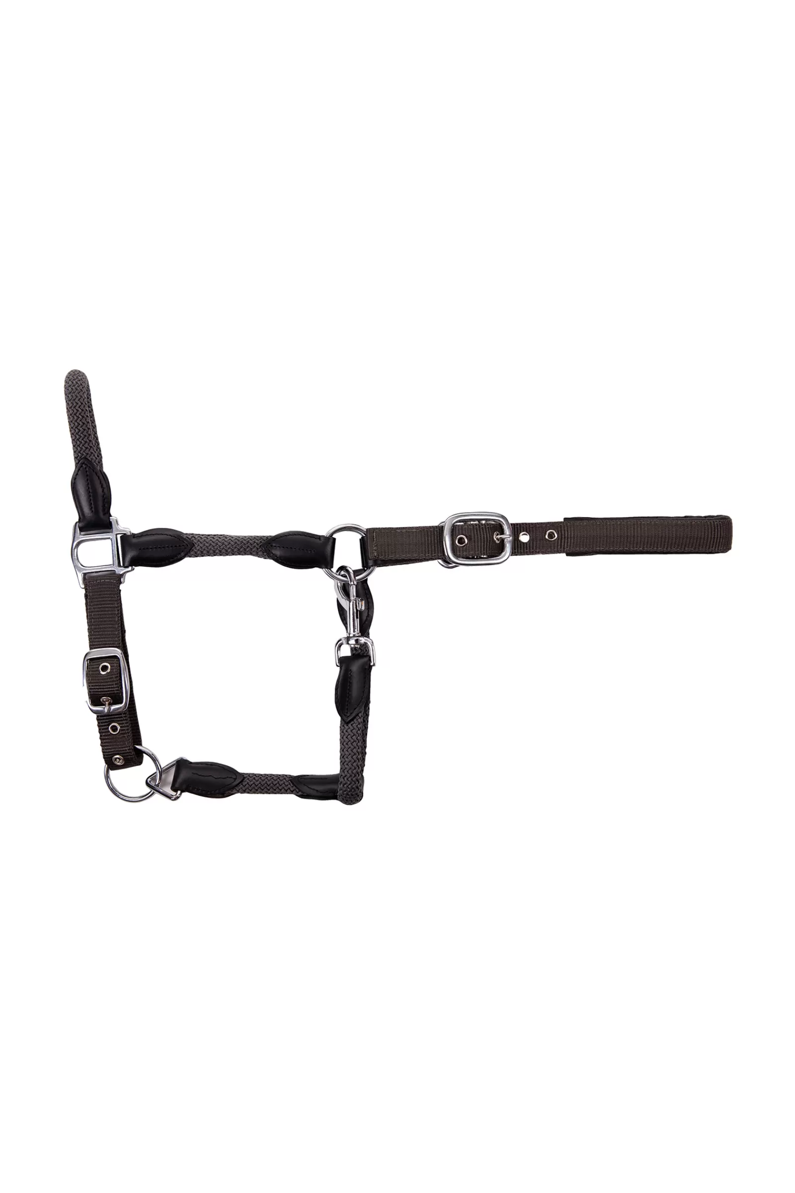 usg Dublin Halter> Headcollars & Halters