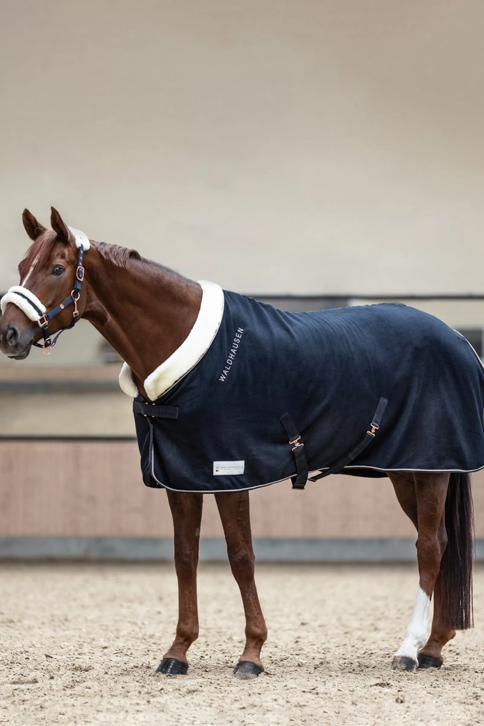 waldhausen Modern Ros Fleece Rug> Fleece Horse Rugs & Cooler Rugs