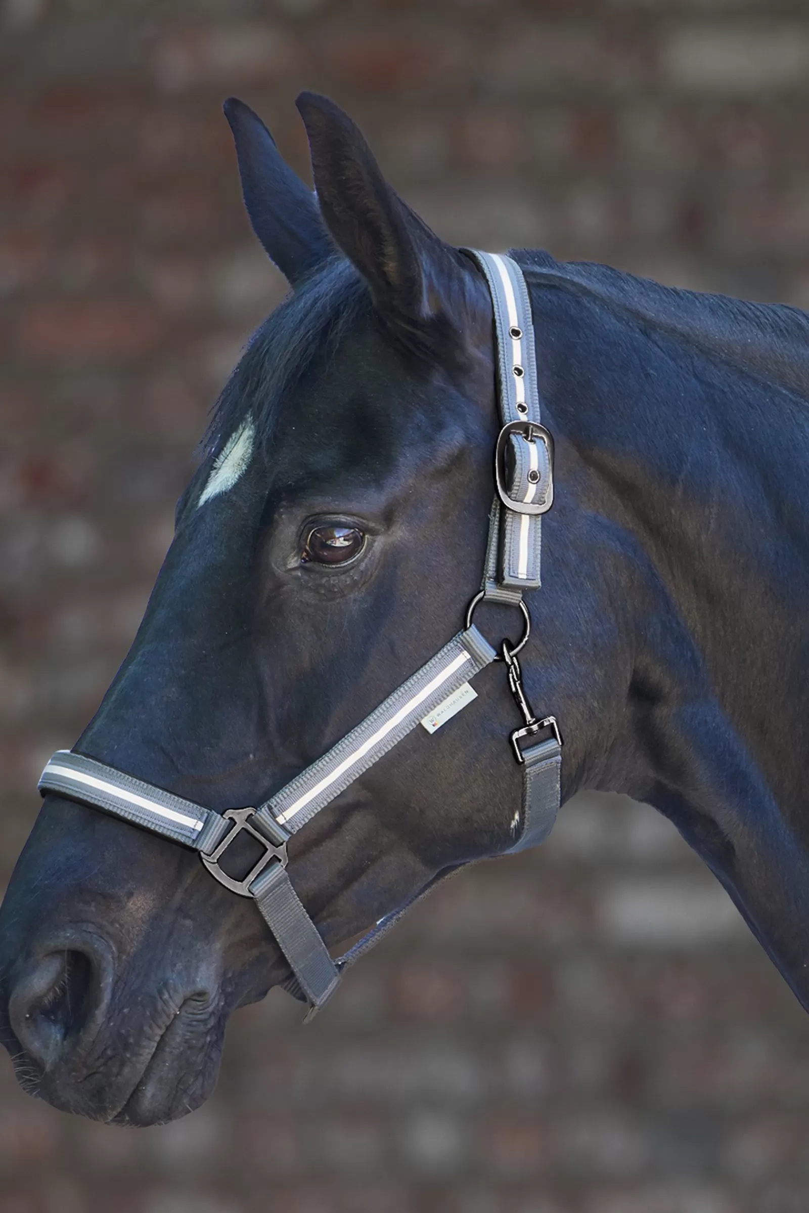 waldhausen Reflex Stripe Halter> Headcollars & Halters