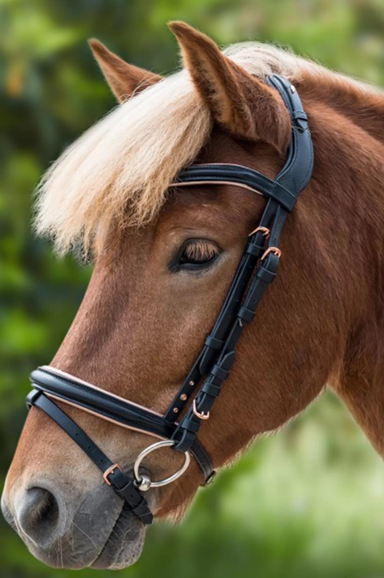 waldhausen Rose Icelandic Bridle> Bridles & Nosebands