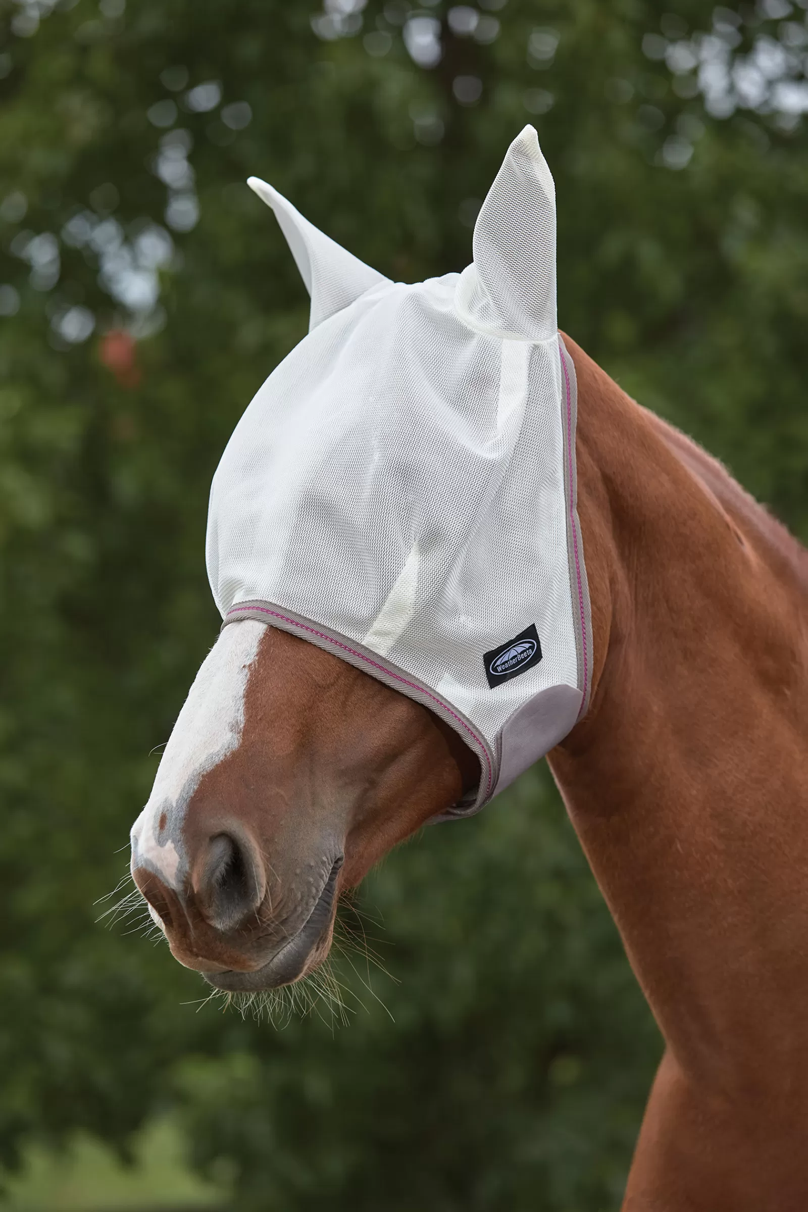 weatherbeeta Comfitec Airflow Mask> Fly Masks & Fringes