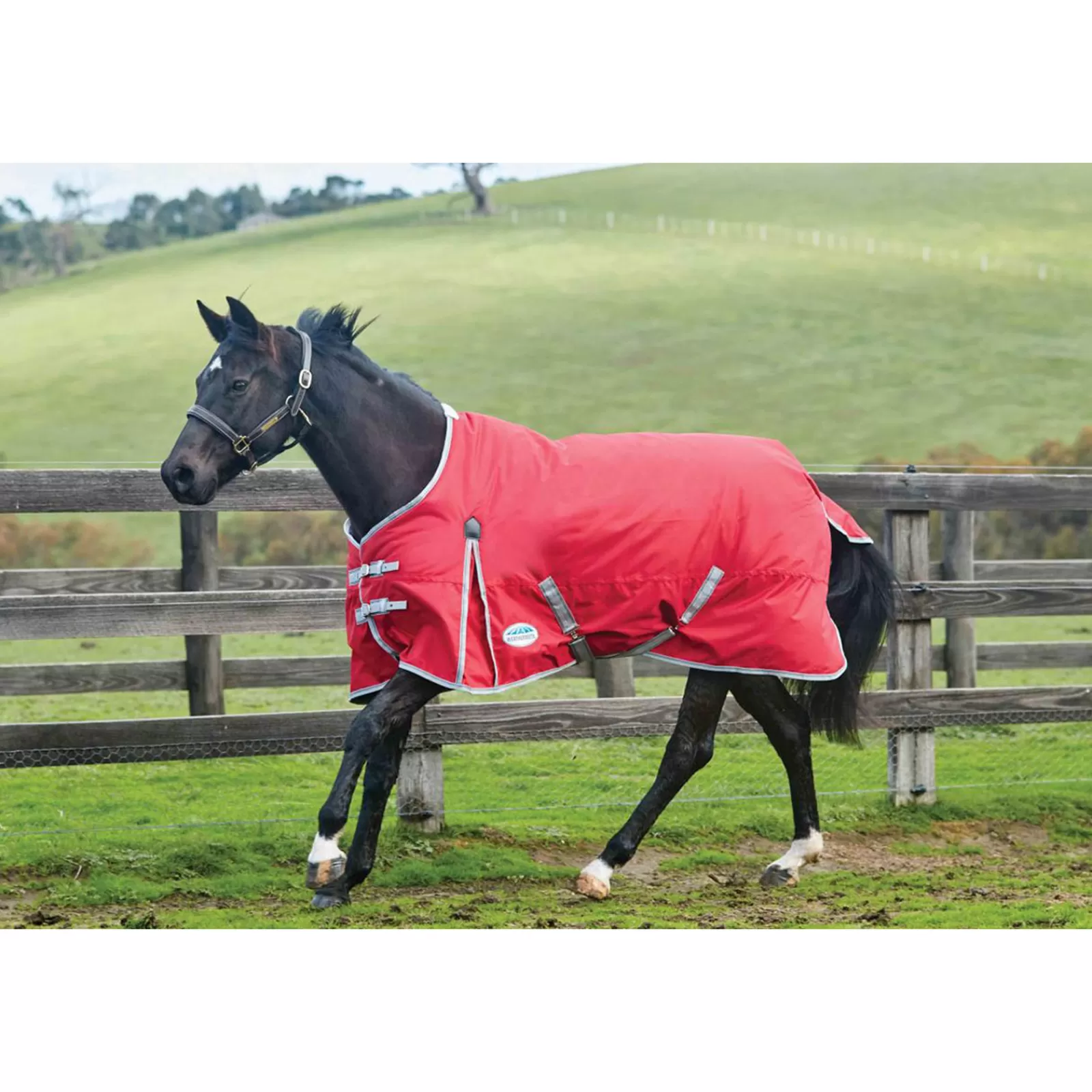 weatherbeeta Comfitec Classic Turnout Rug, 220G> Medium & Heavyweight Turnout Rugs