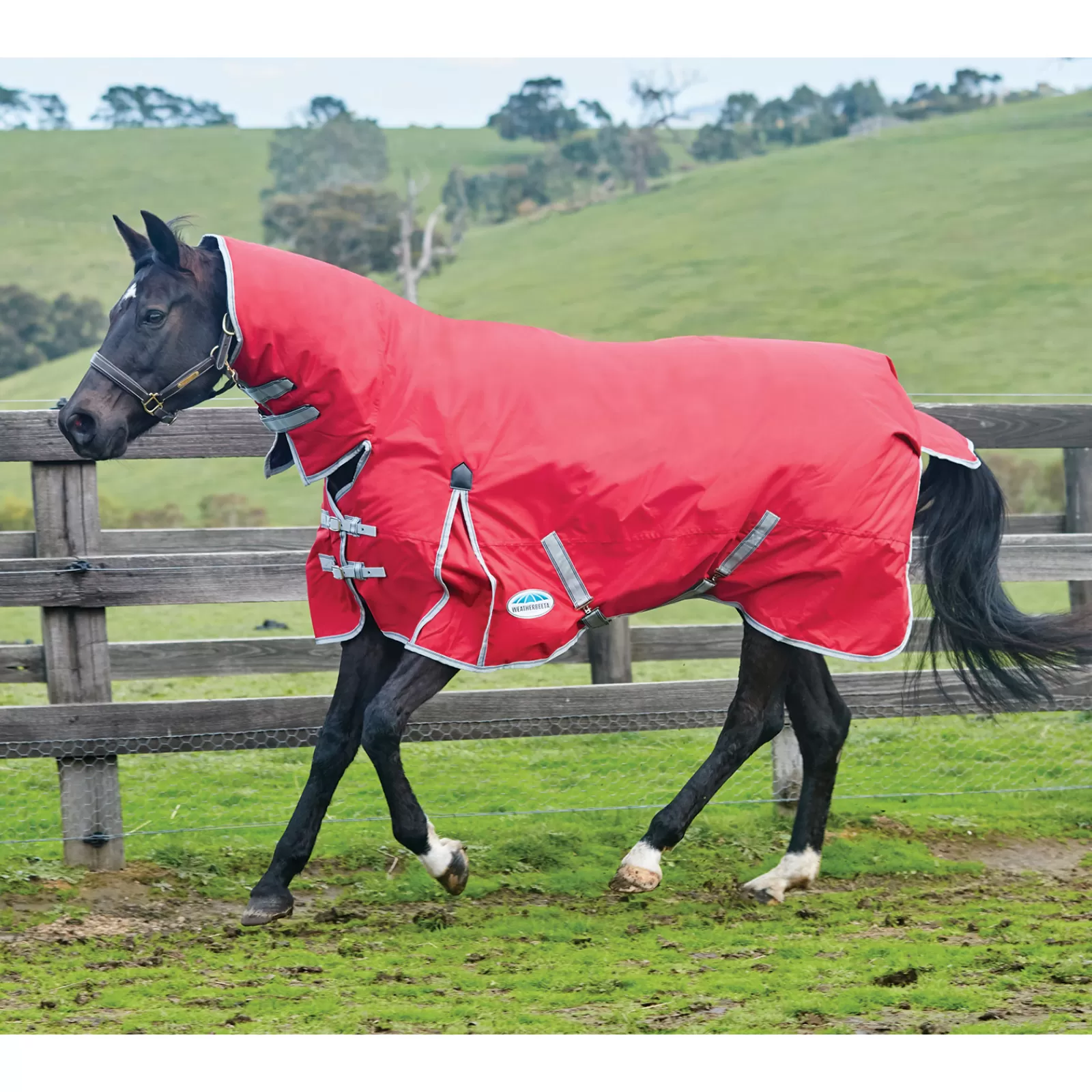 weatherbeeta Comfitec Classic Turnout Rug With Fixed Neck, 0G> Lightweight Turnout Rugs