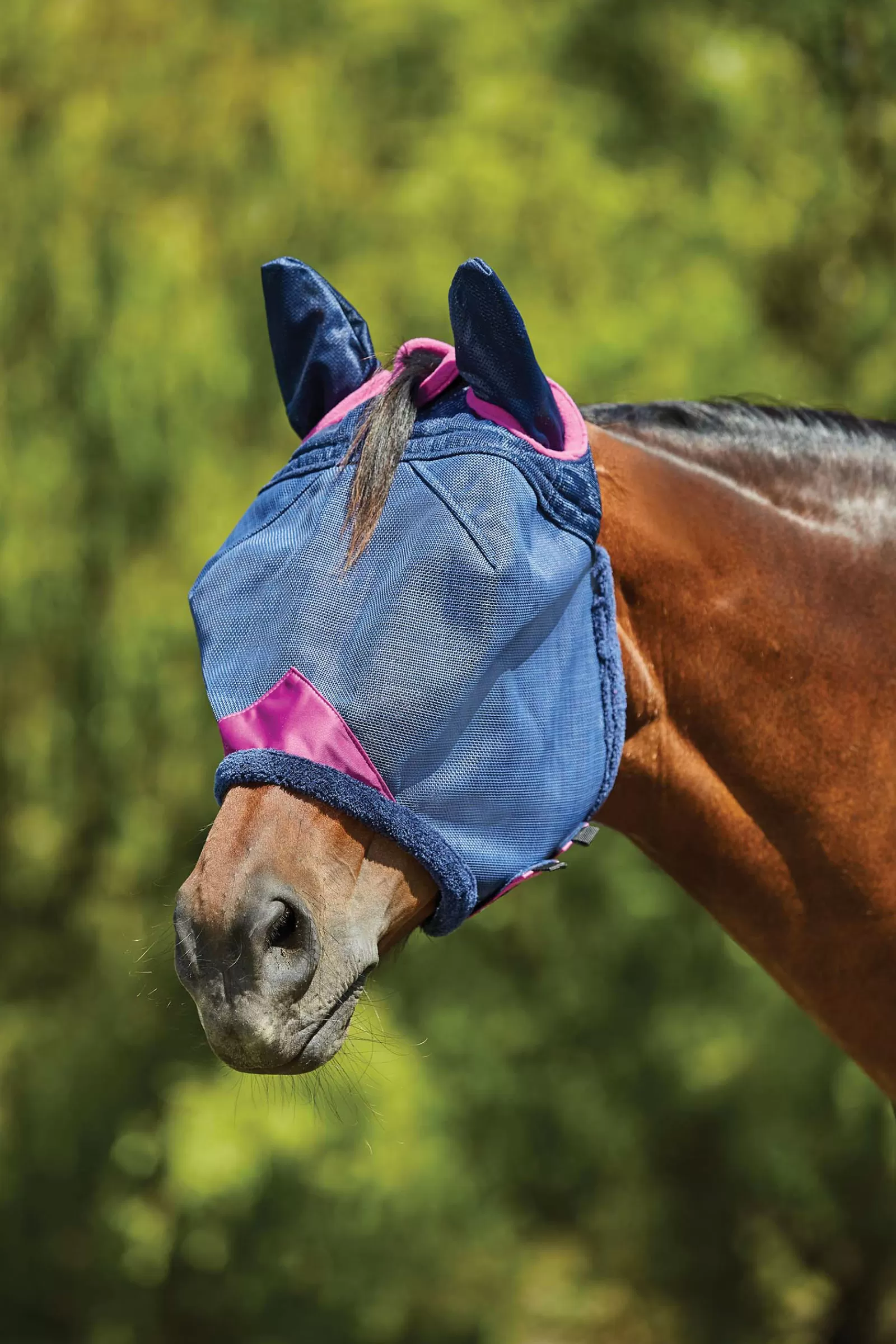 weatherbeeta Comfitec Deluxe Durable Mesh Mask With Ears> Fly Masks & Fringes