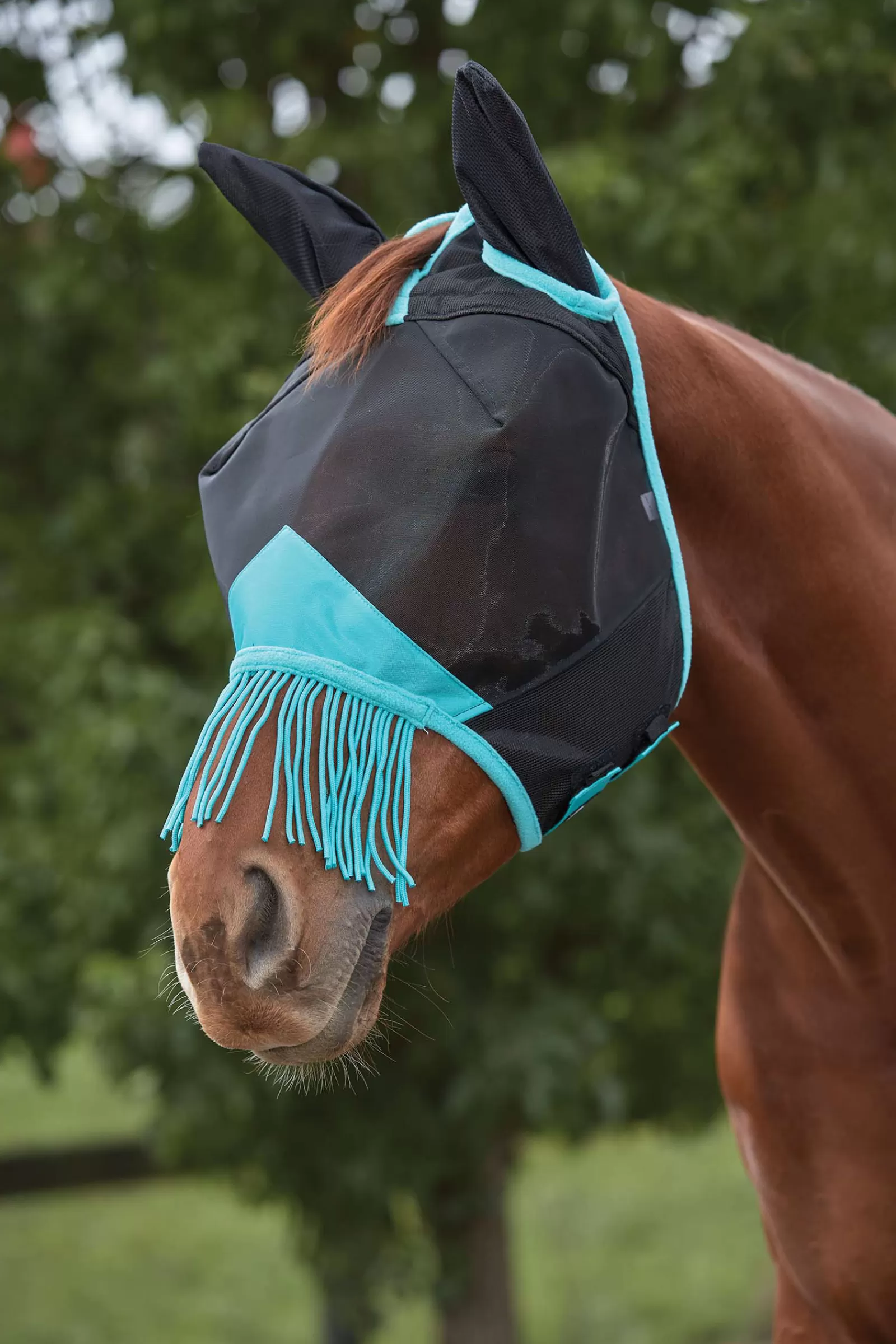 weatherbeeta Comfitec Deluxe Fine Mesh Mask With Ears & Tassels> Fly Masks & Fringes