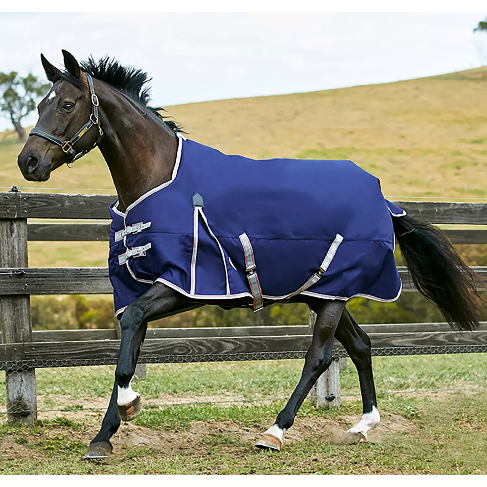 weatherbeeta Comfitec Essential Plus Turnout Rug, 50G> Lightweight Turnout Rugs