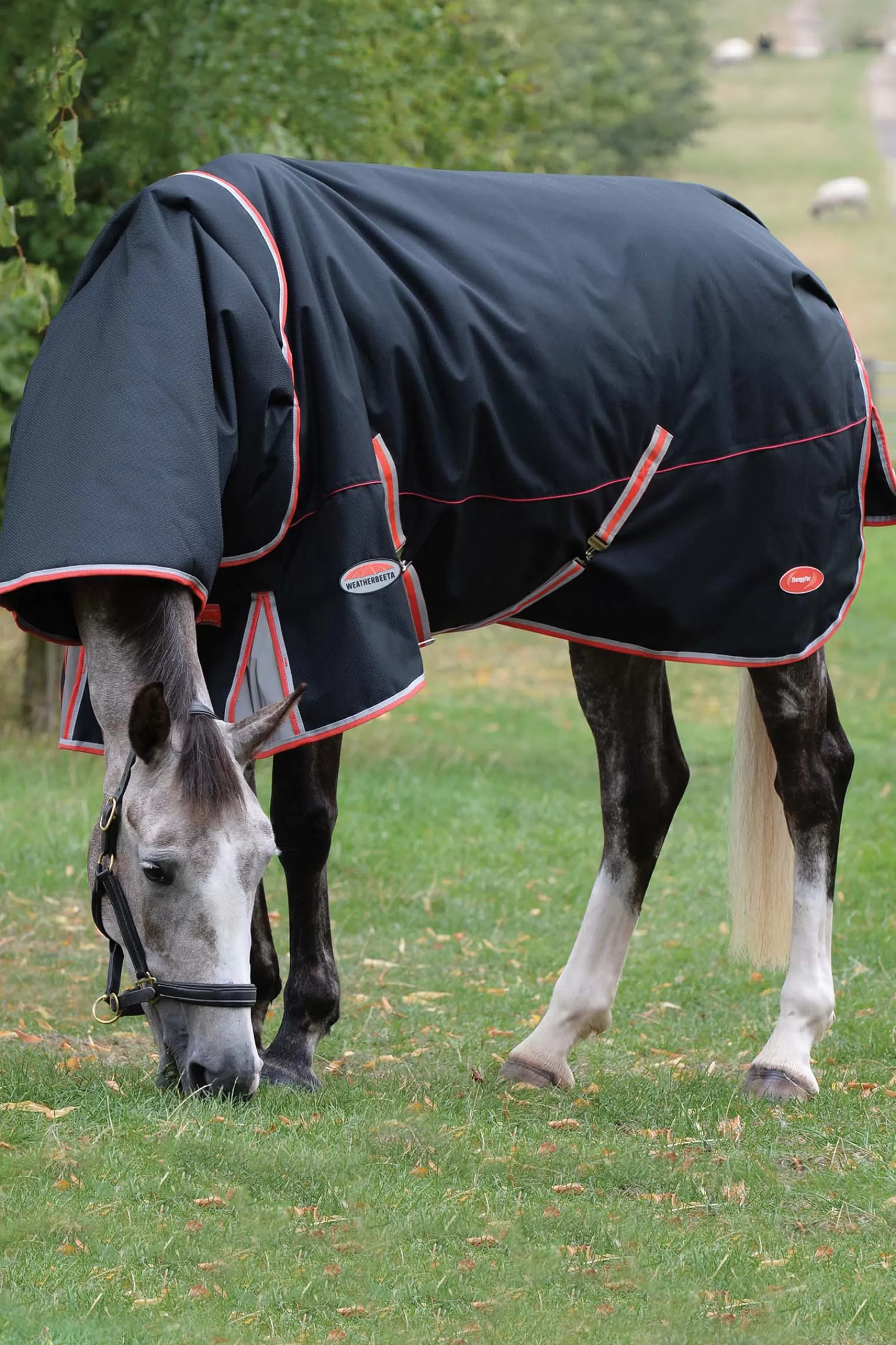 weatherbeeta Comfitec Premier With Therapy-Tec Detach-A-Neck, 50G> Lightweight Turnout Rugs